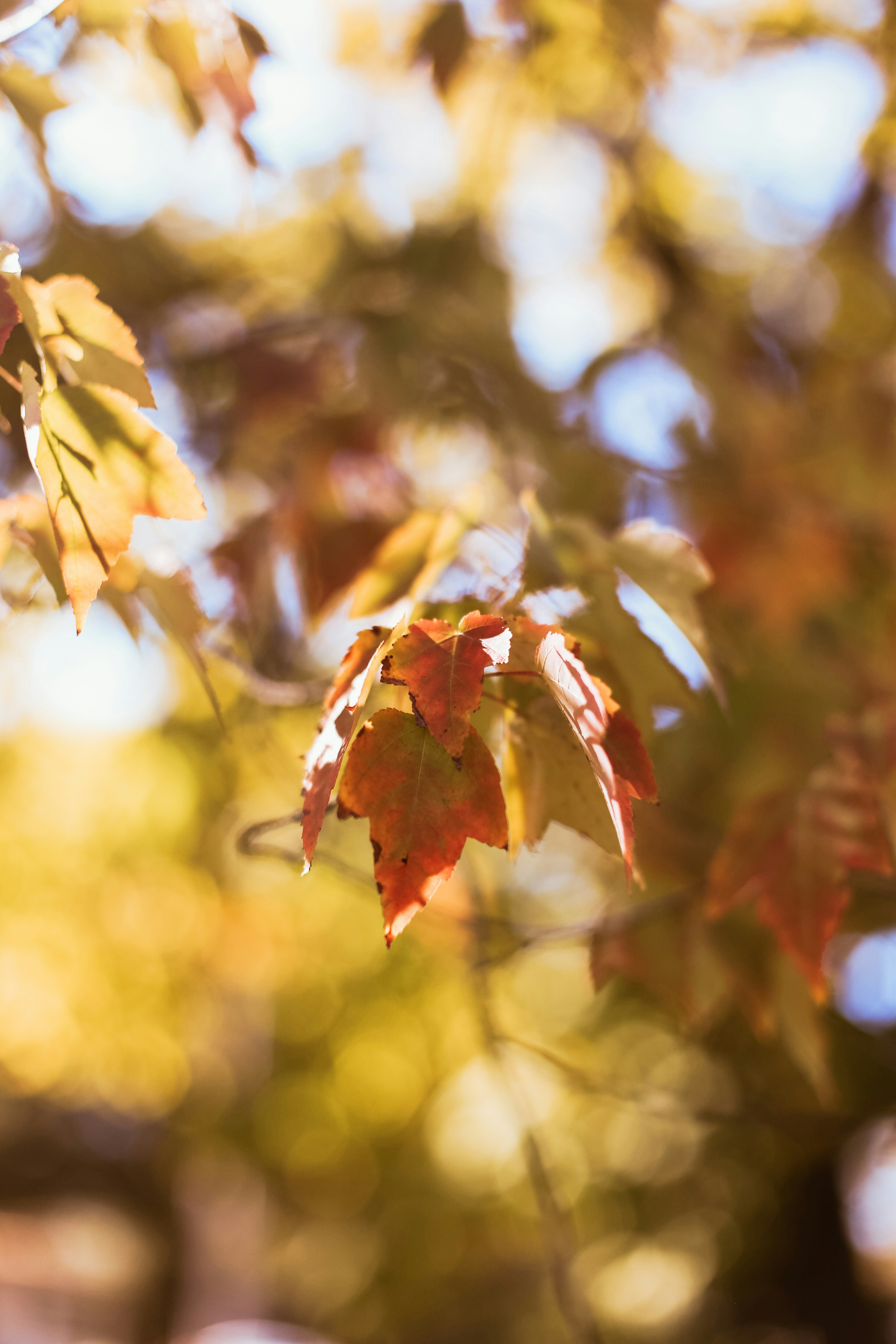 Photo by jessicalfadel