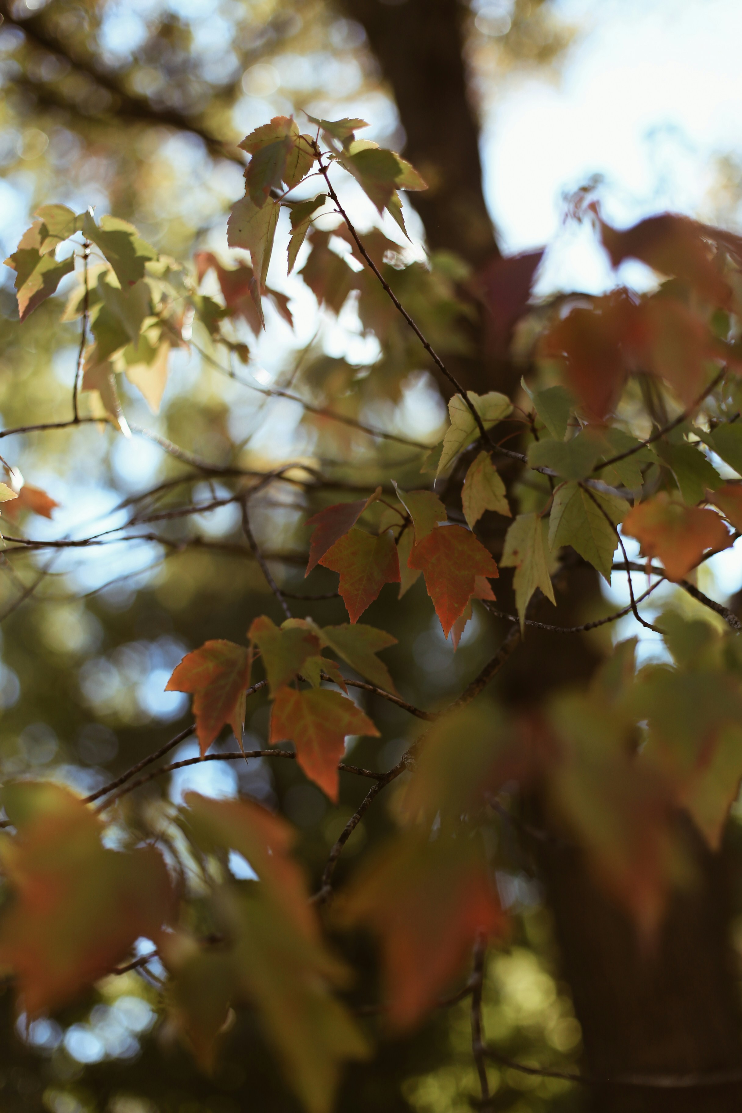 Photo by jessicalfadel