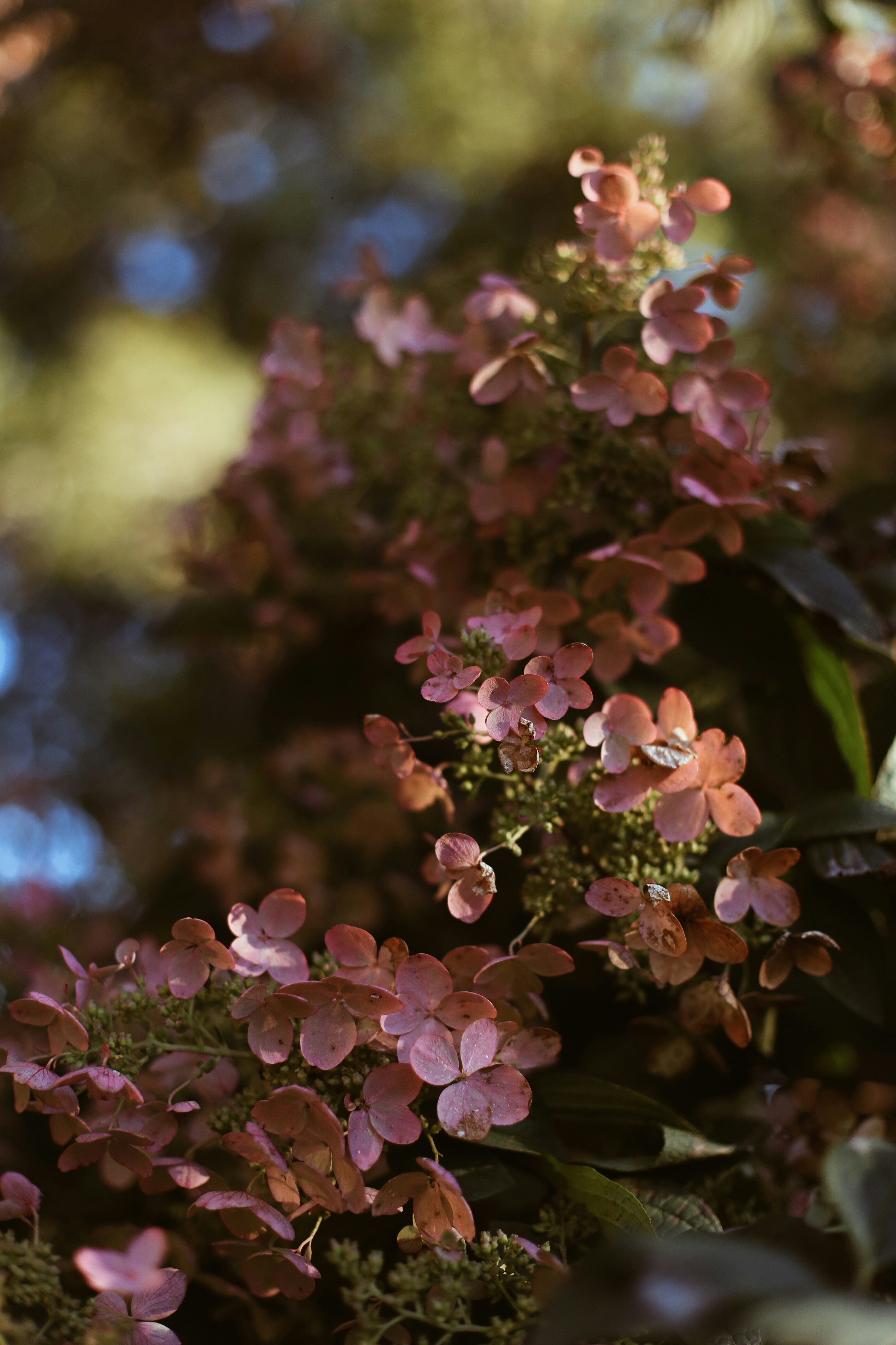 Photo by jessicalfadel