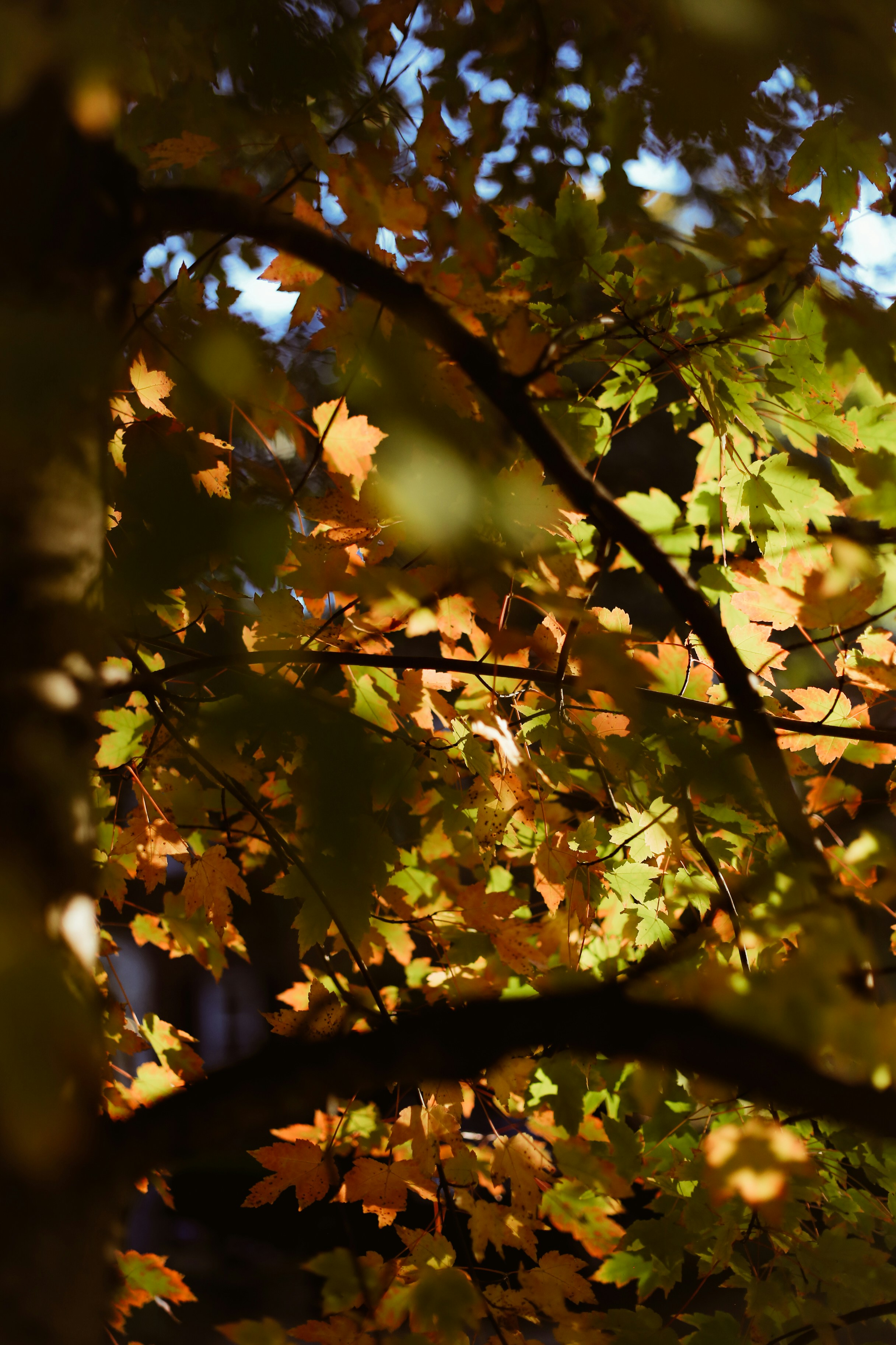 Photo by jessicalfadel