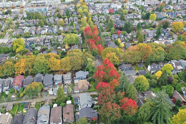 The Benefits of Urban Trees: How Trees Can Improve Our Cities