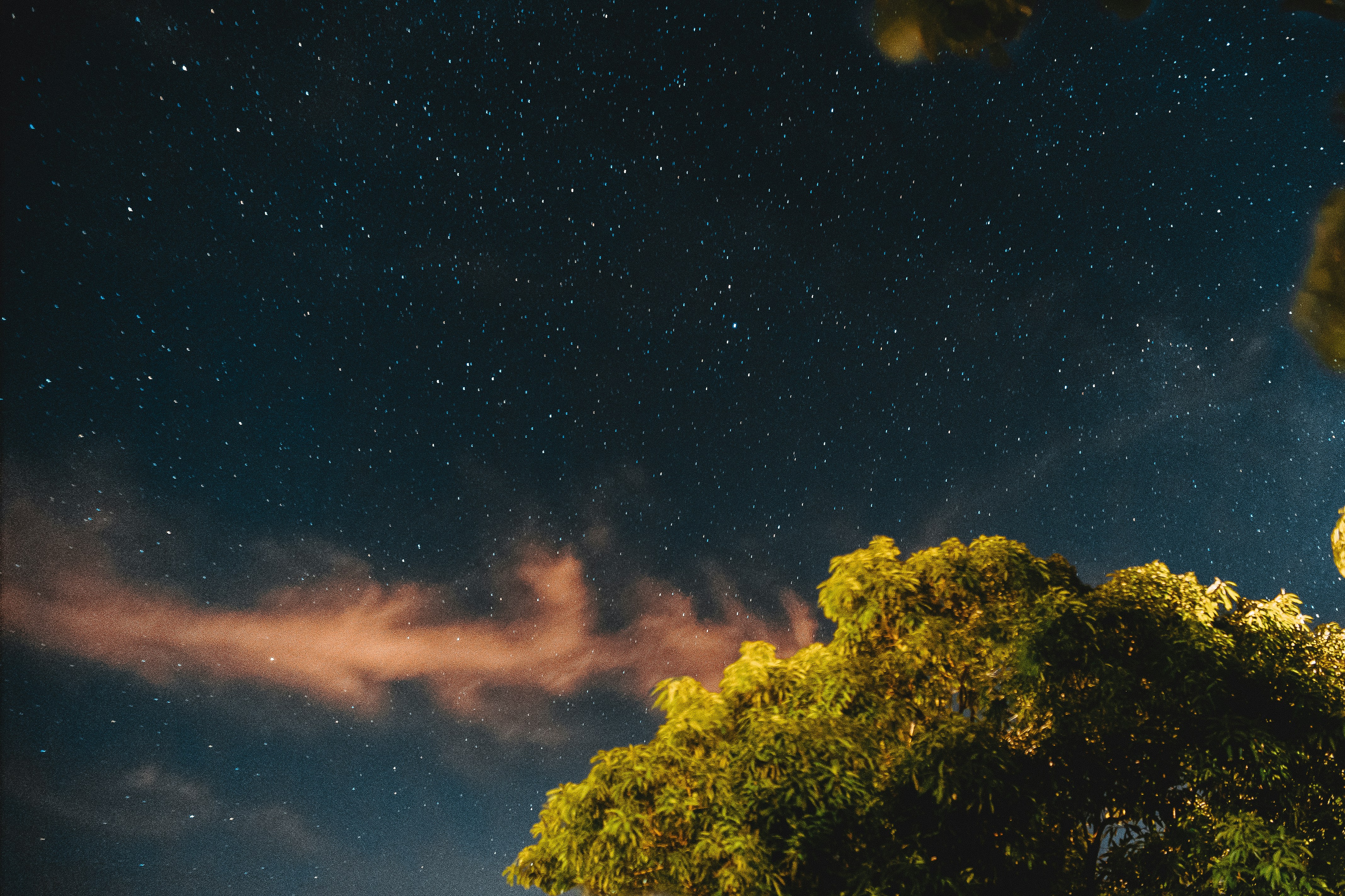 Photo by daniel_castellon20