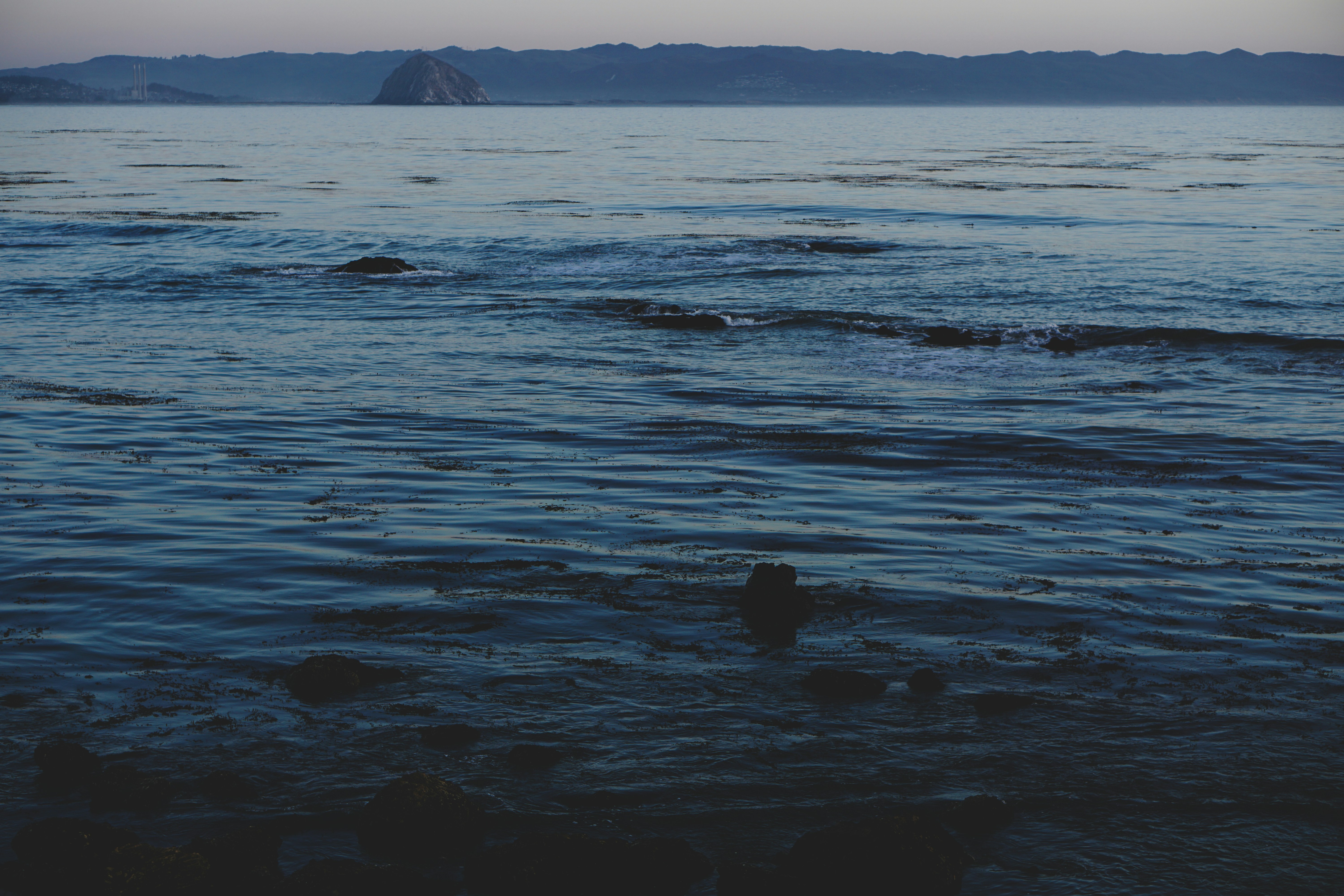 Photo by bethanyreeeves