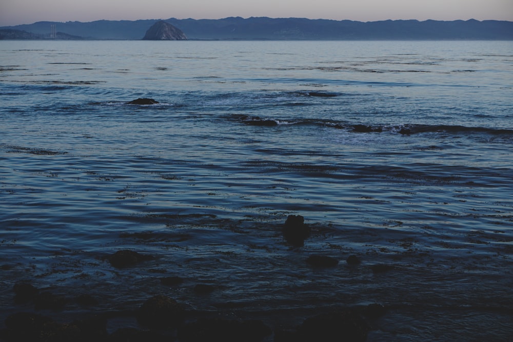 Un cuerpo de agua con montañas en la distancia