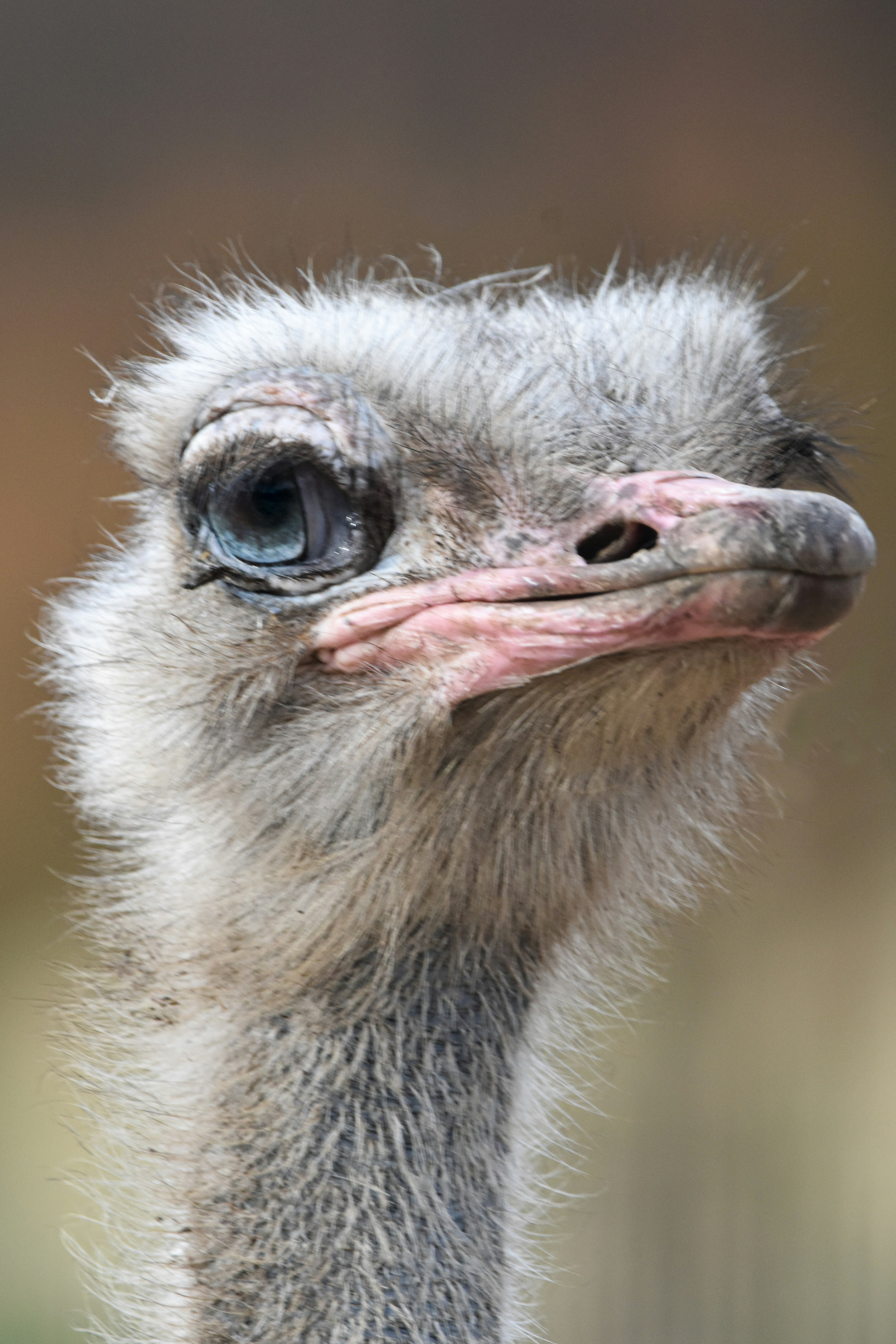 Photo by elisastonephotography