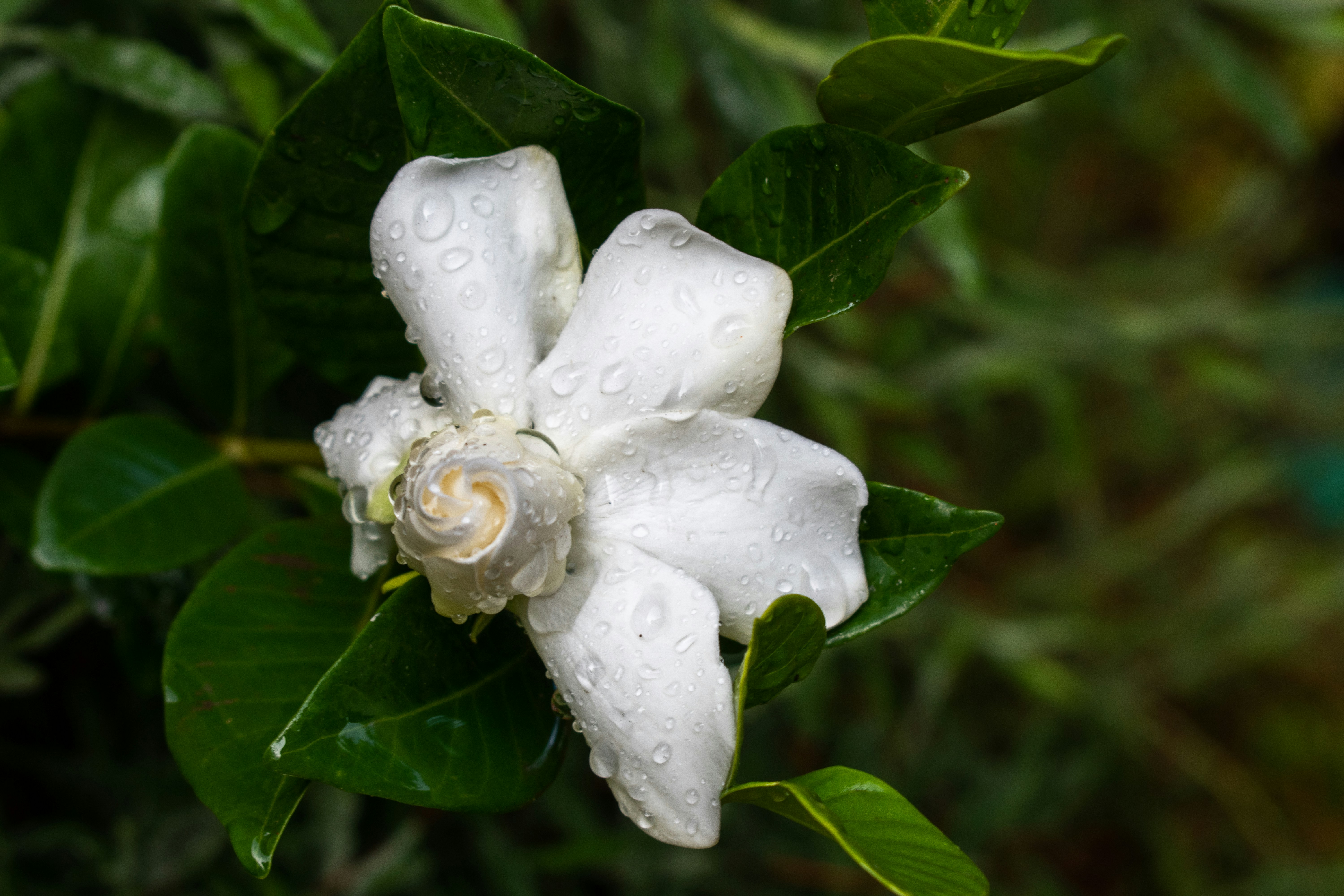 Photo by elisastonephotography