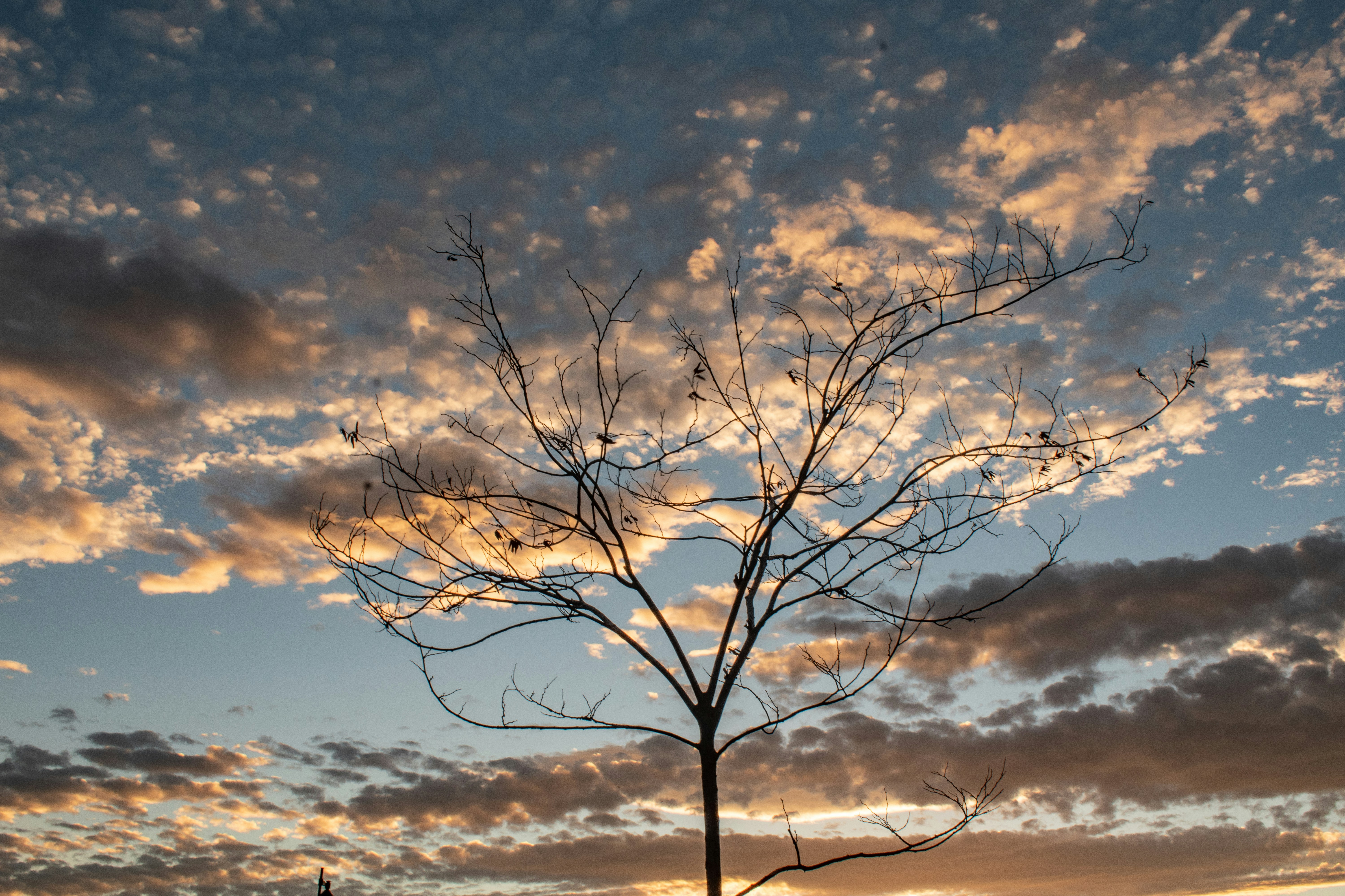 Photo by elisastonephotography