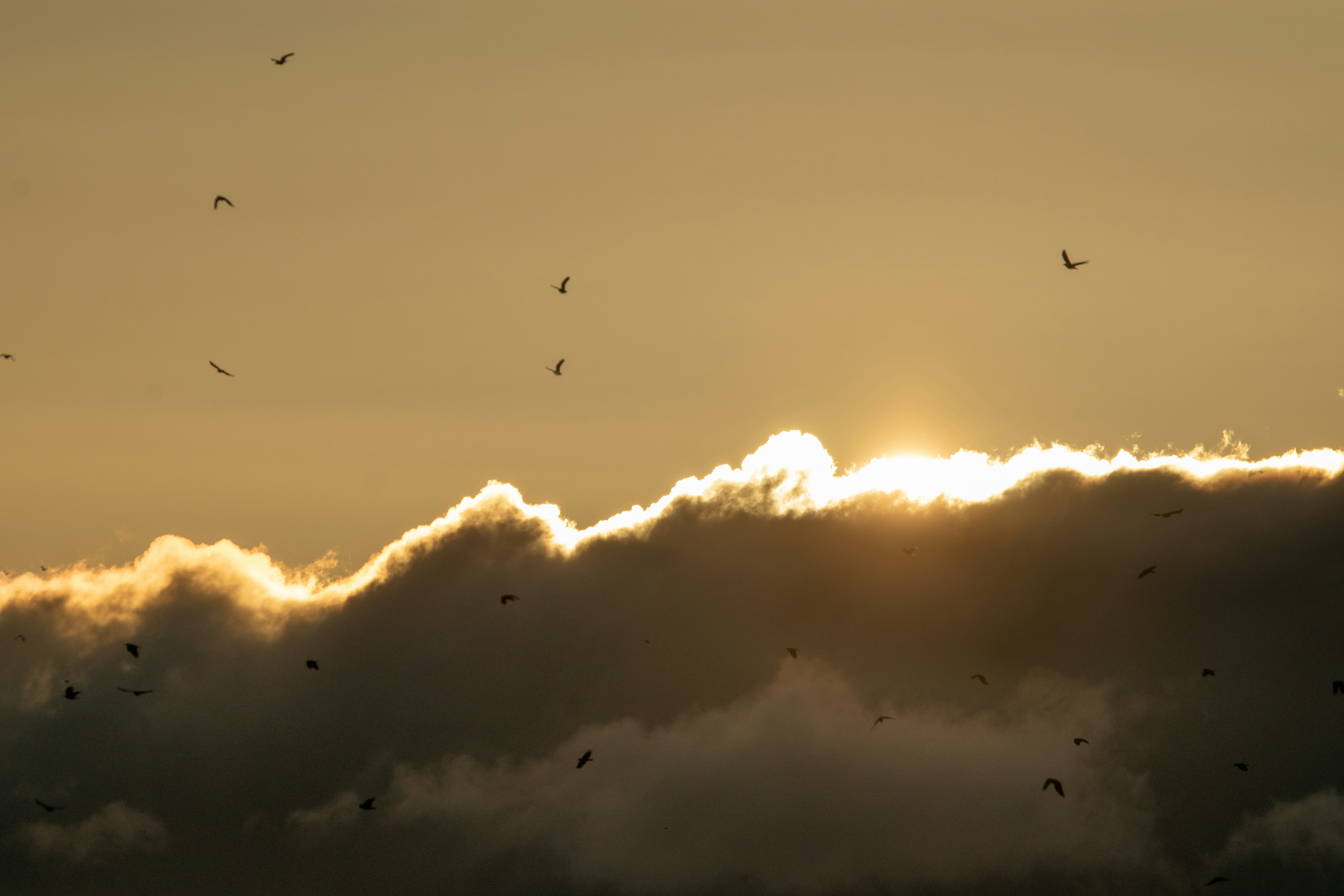 Photo by elisastonephotography