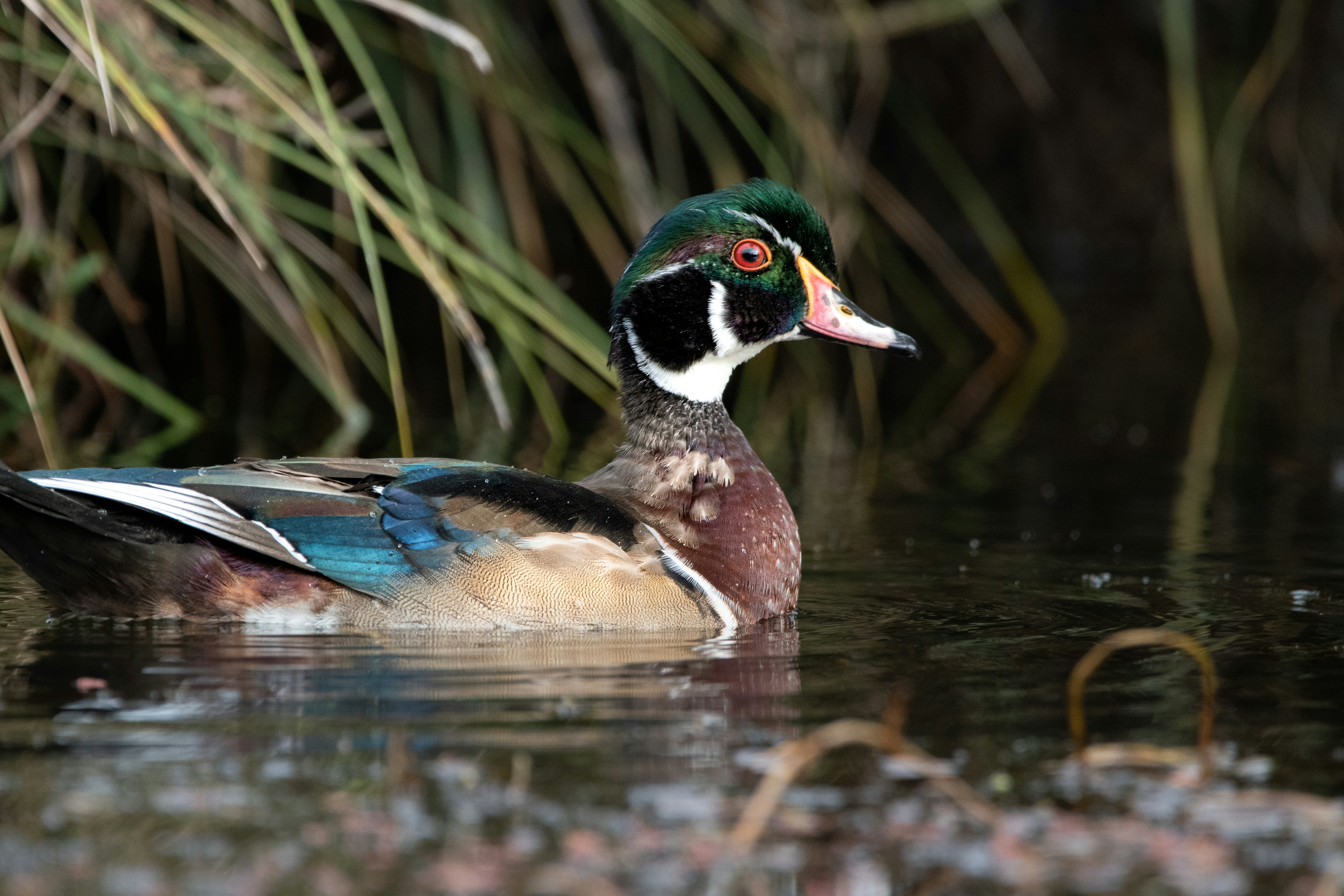 Photo by elisastonephotography