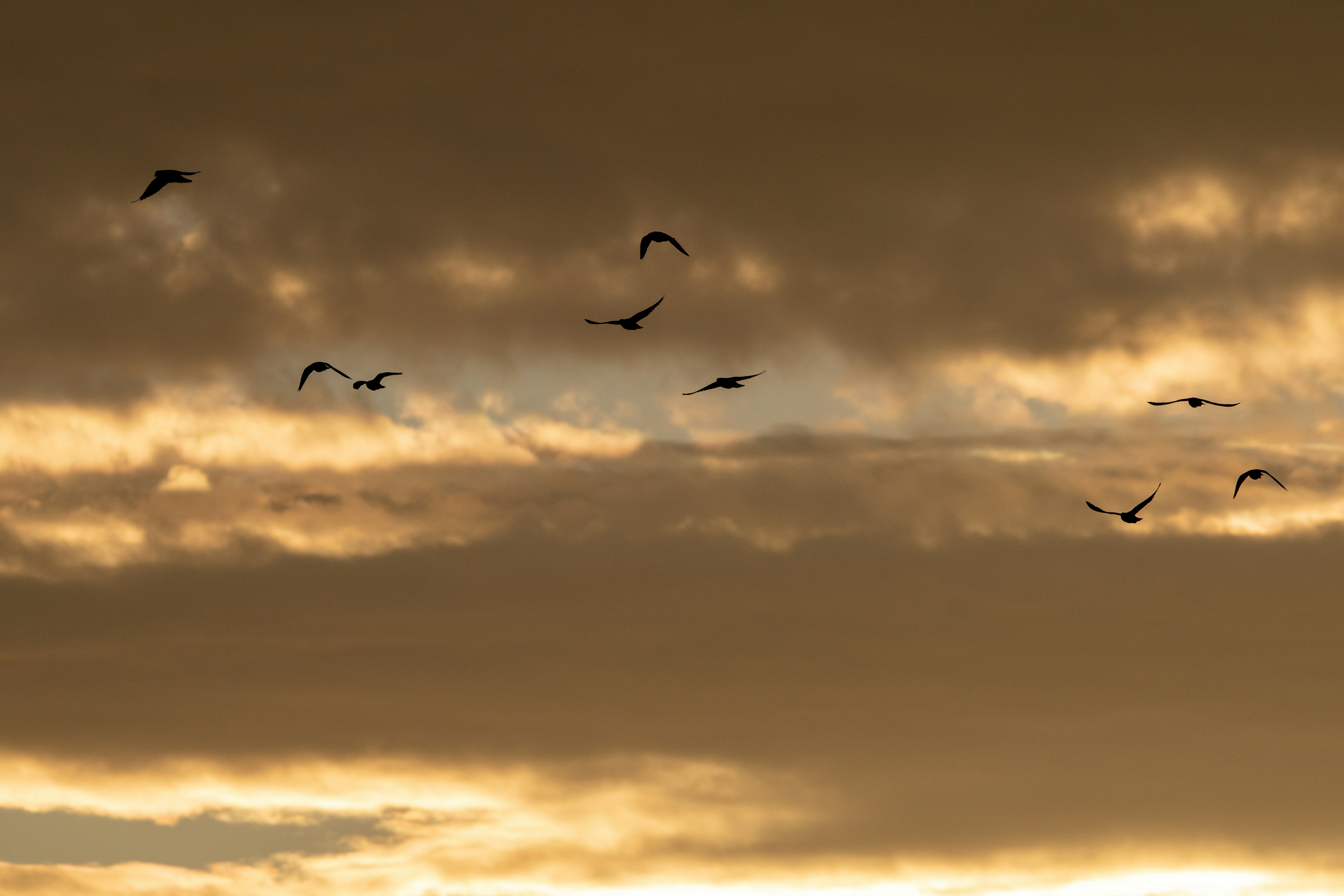 Photo by elisastonephotography