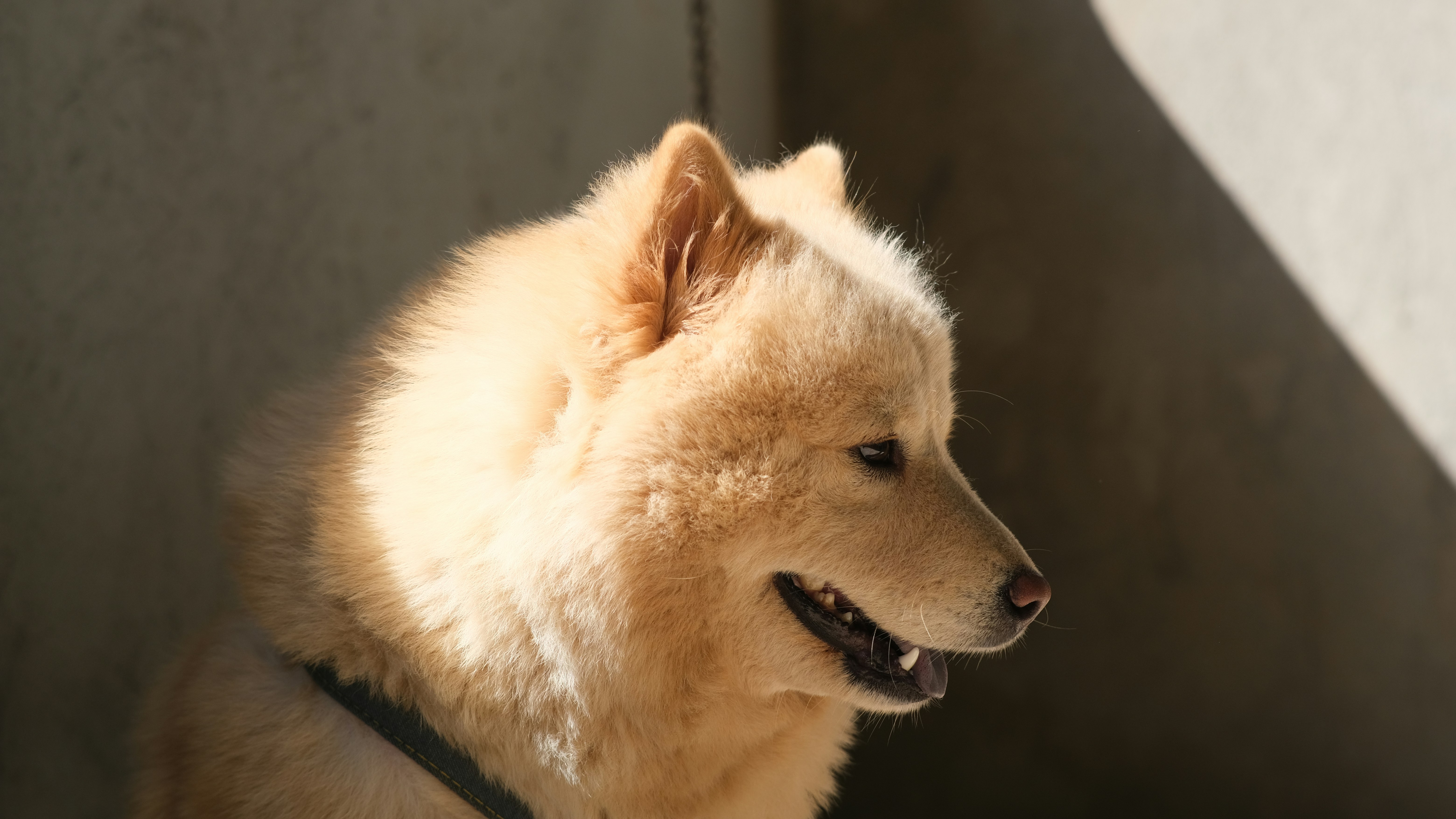 Photo by karenivyt