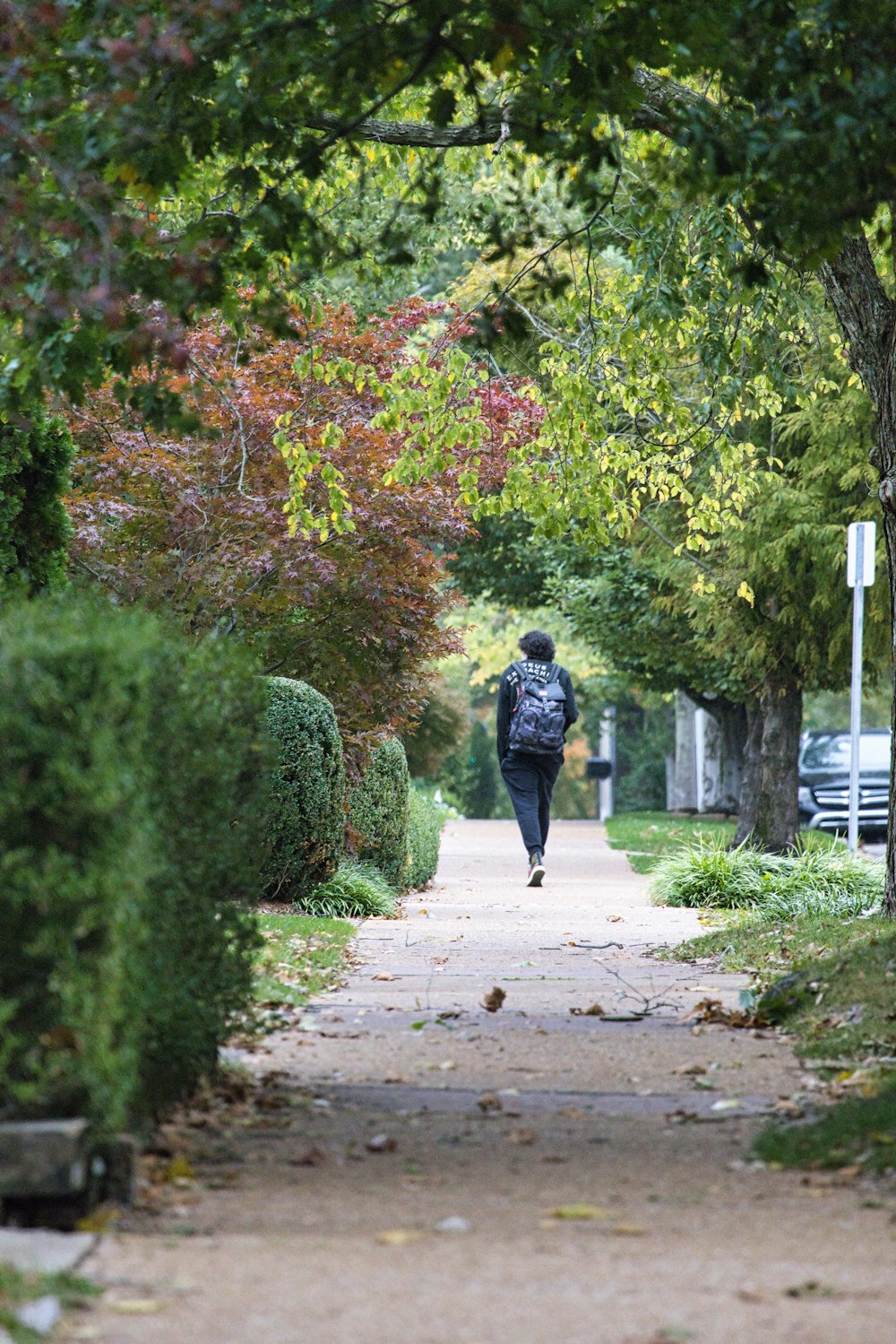 a person walking down a path in a park