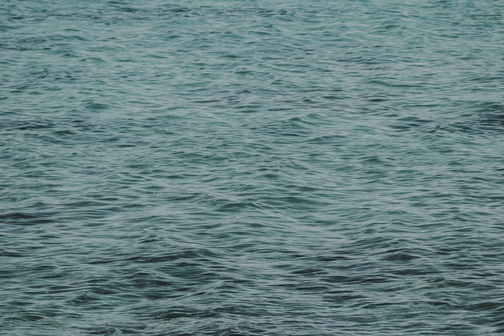 a man riding a surfboard on top of a body of water