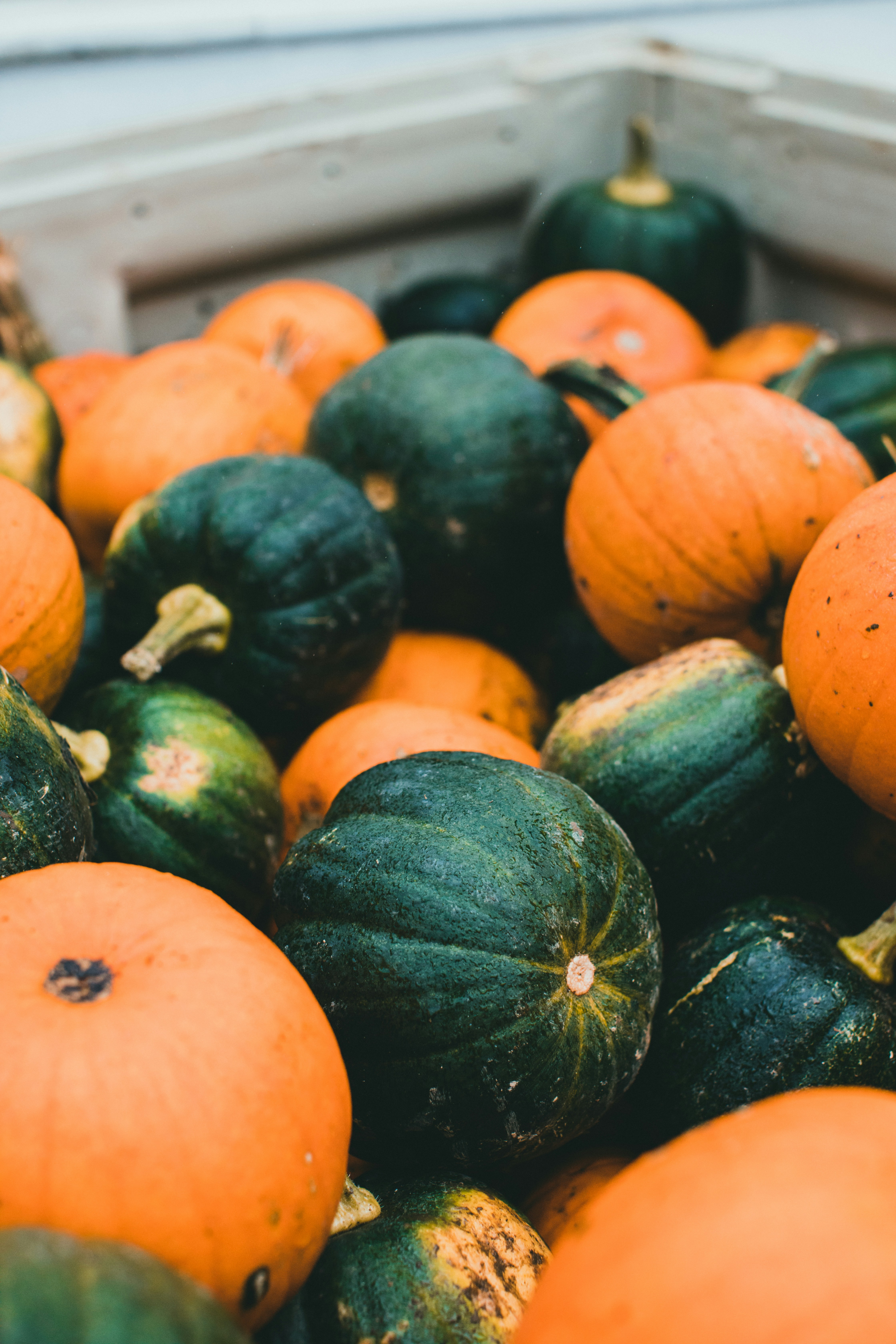 Photo by theshuttervision