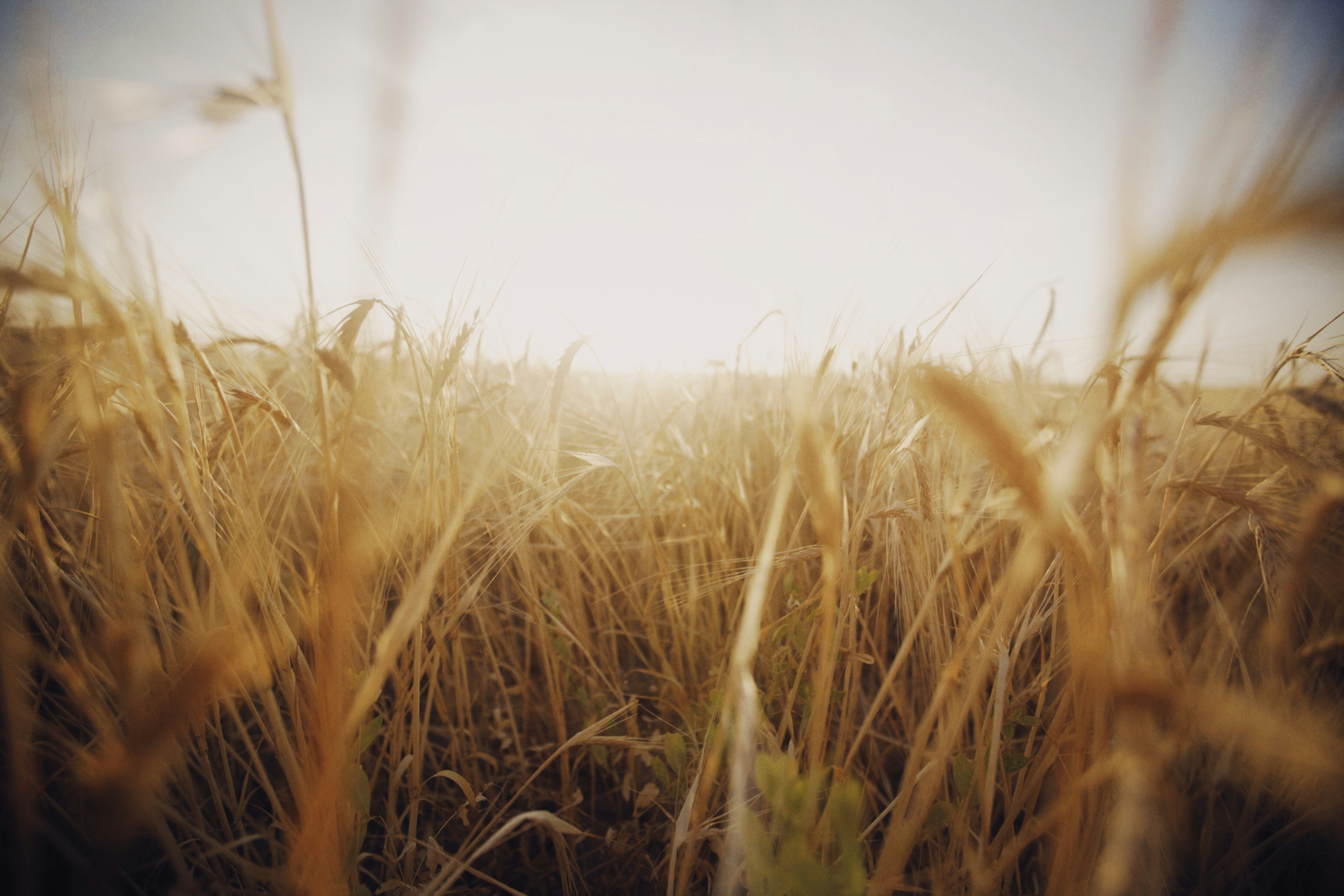 Photo by alexeydemidov