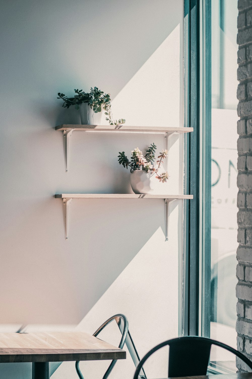 a couple of shelves that have plants on them