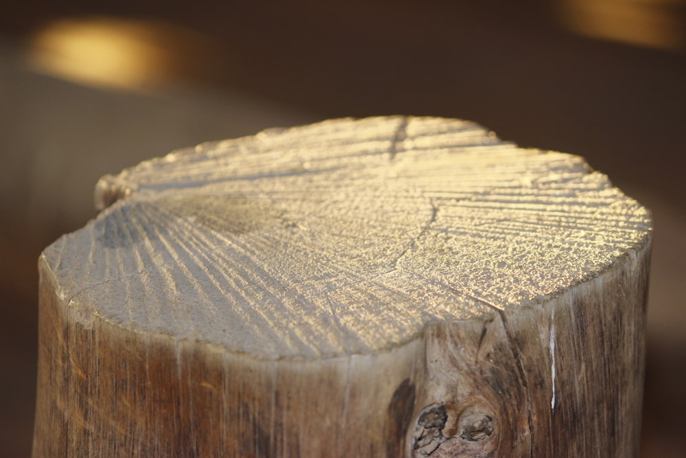 a close up of a tree stump with a blurry background