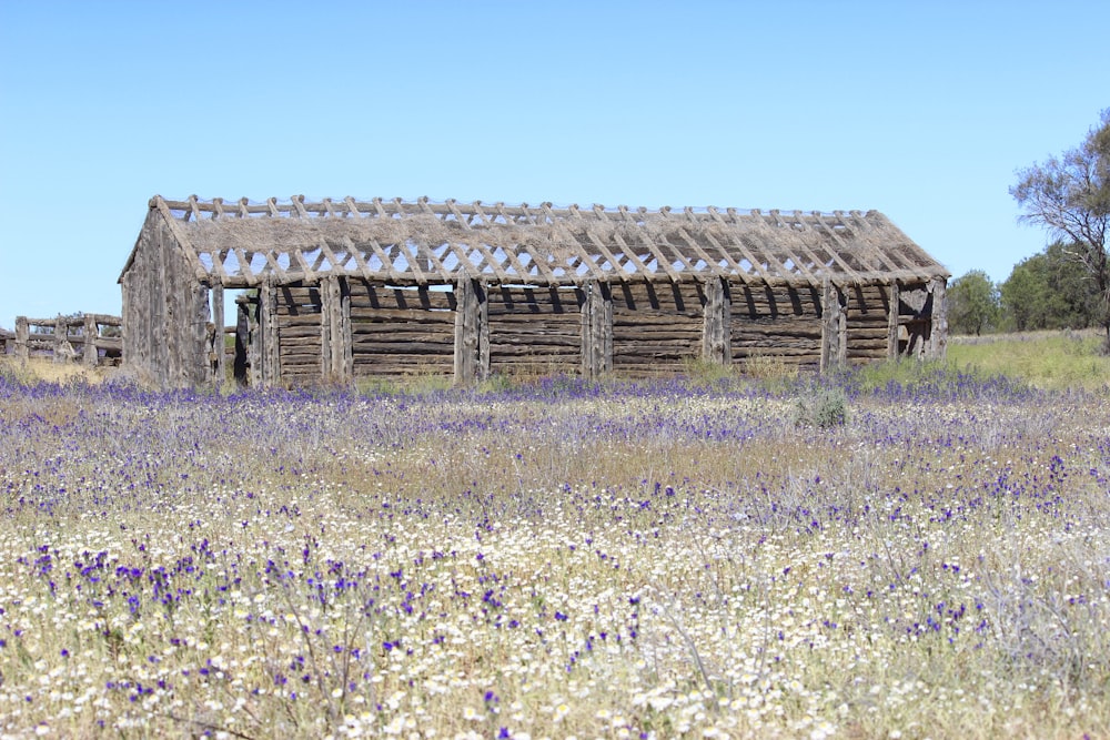 an old wooden building in a field of wildflowers