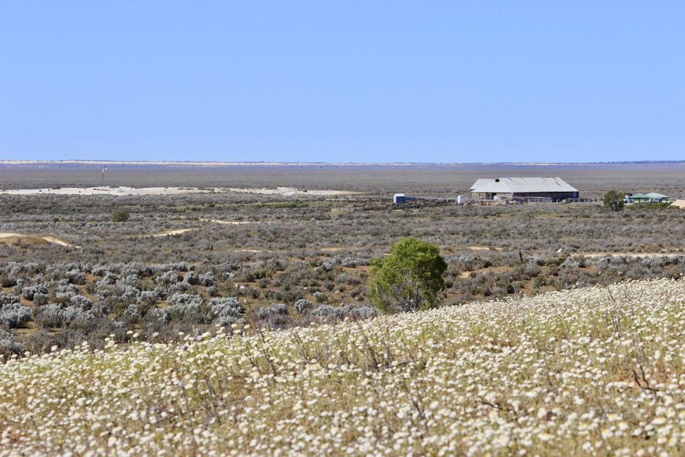 a field with a house in the distance