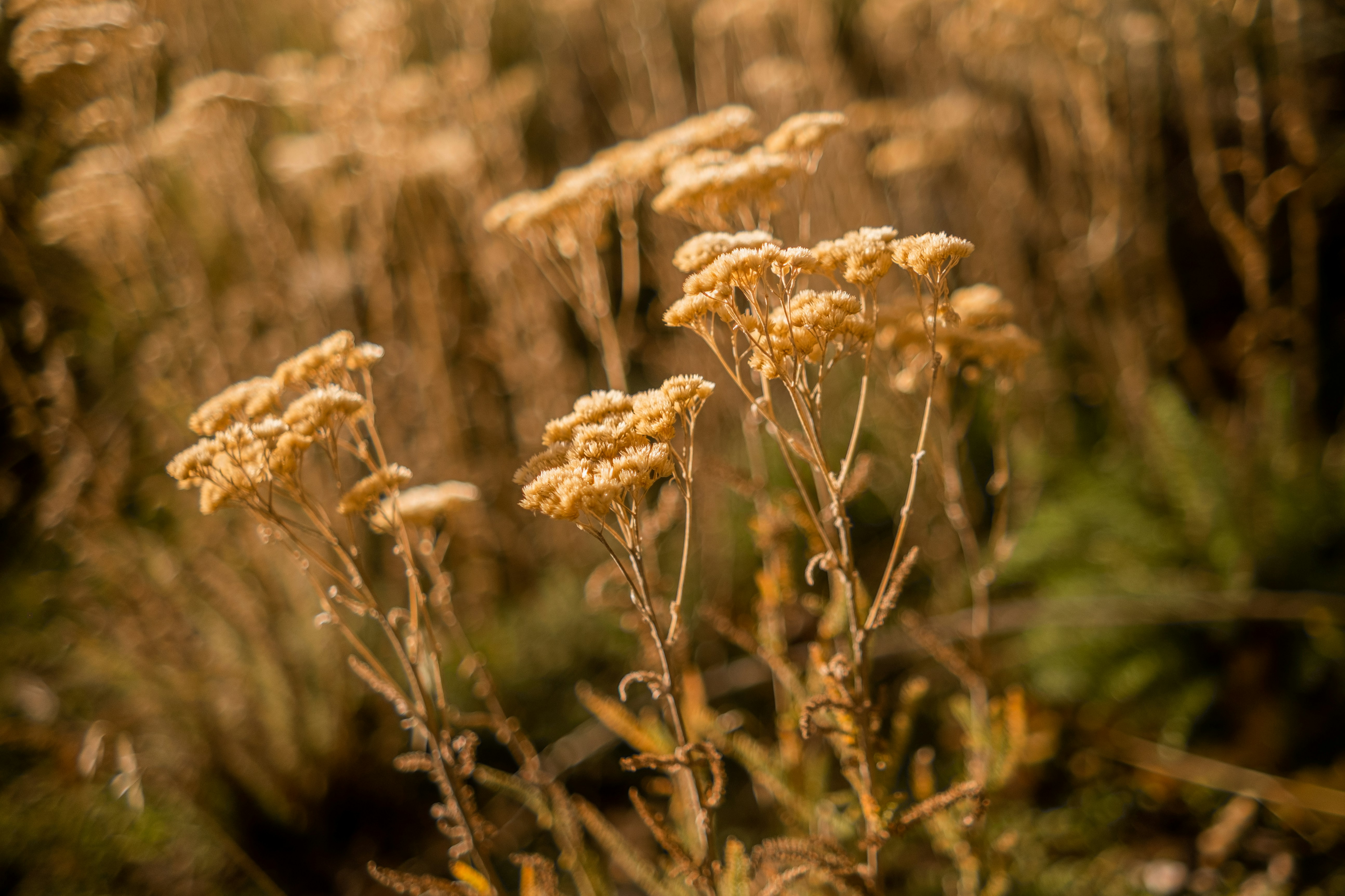 Photo by version2beta