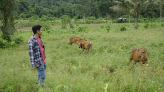 A friendly farmer standing in a green pasture with cows grazing in the background.