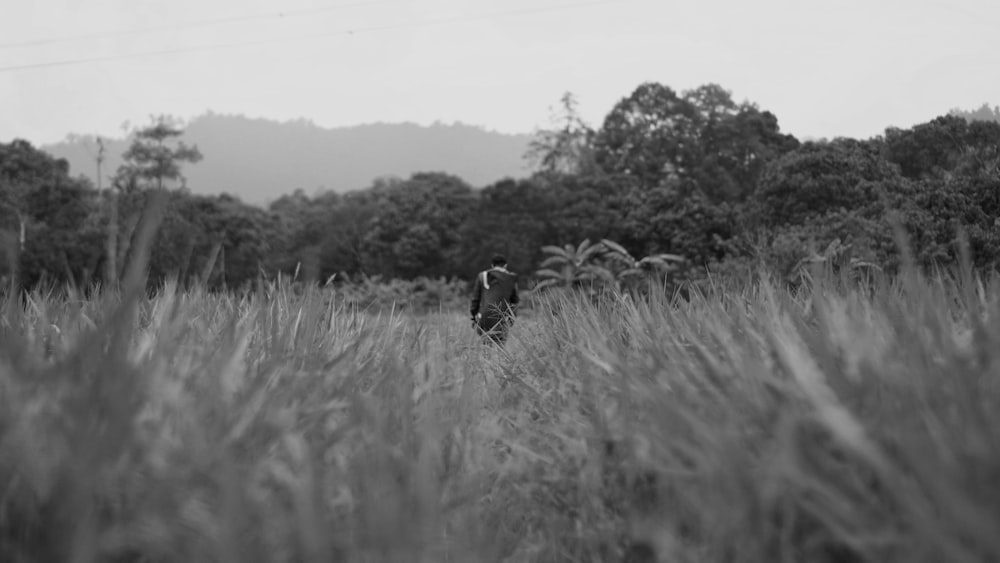 a black and white photo of a cow in a field