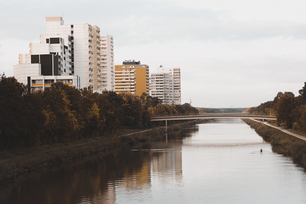 a body of water surrounded by tall buildings