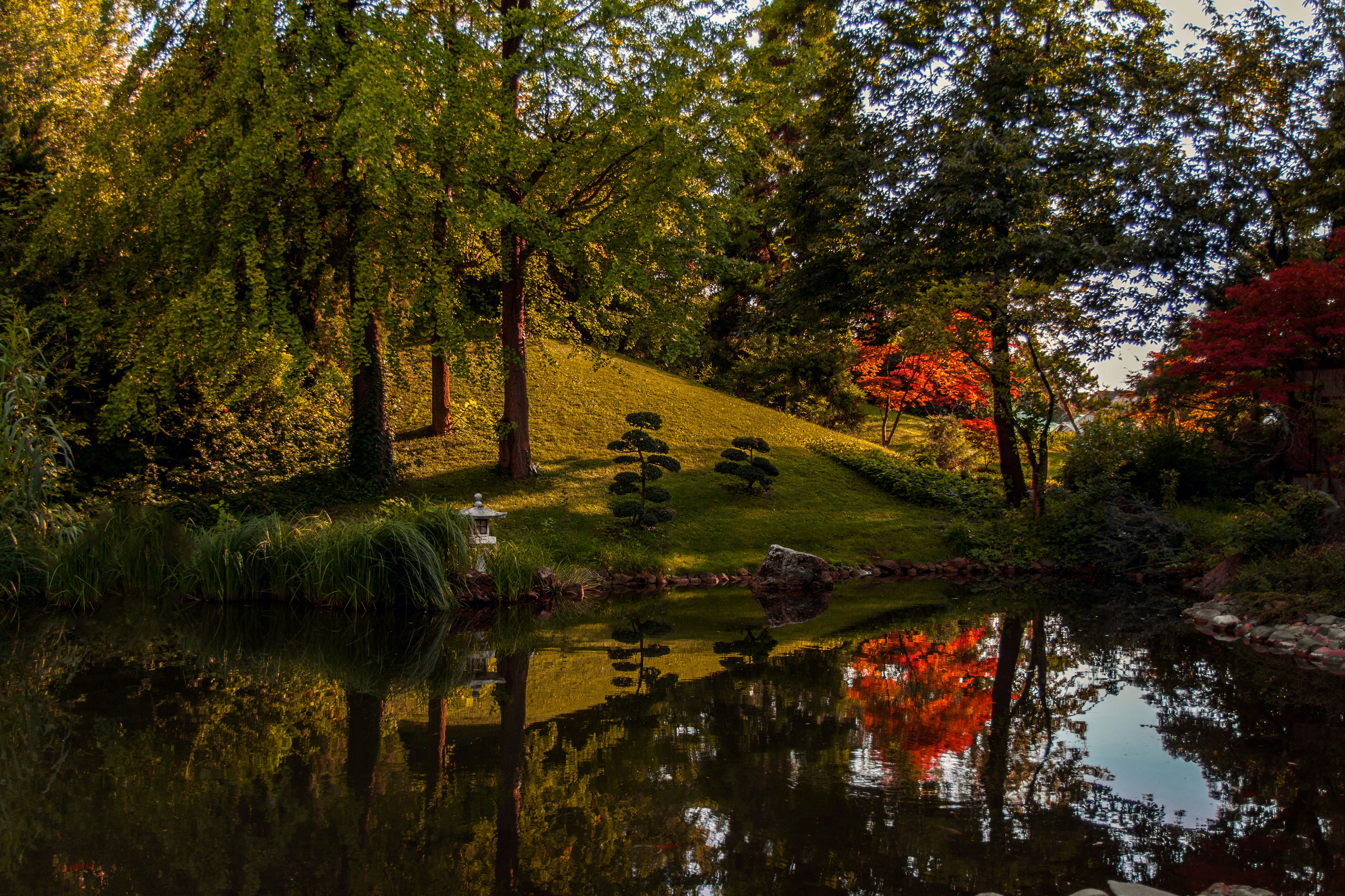 Photo by venczakjanos