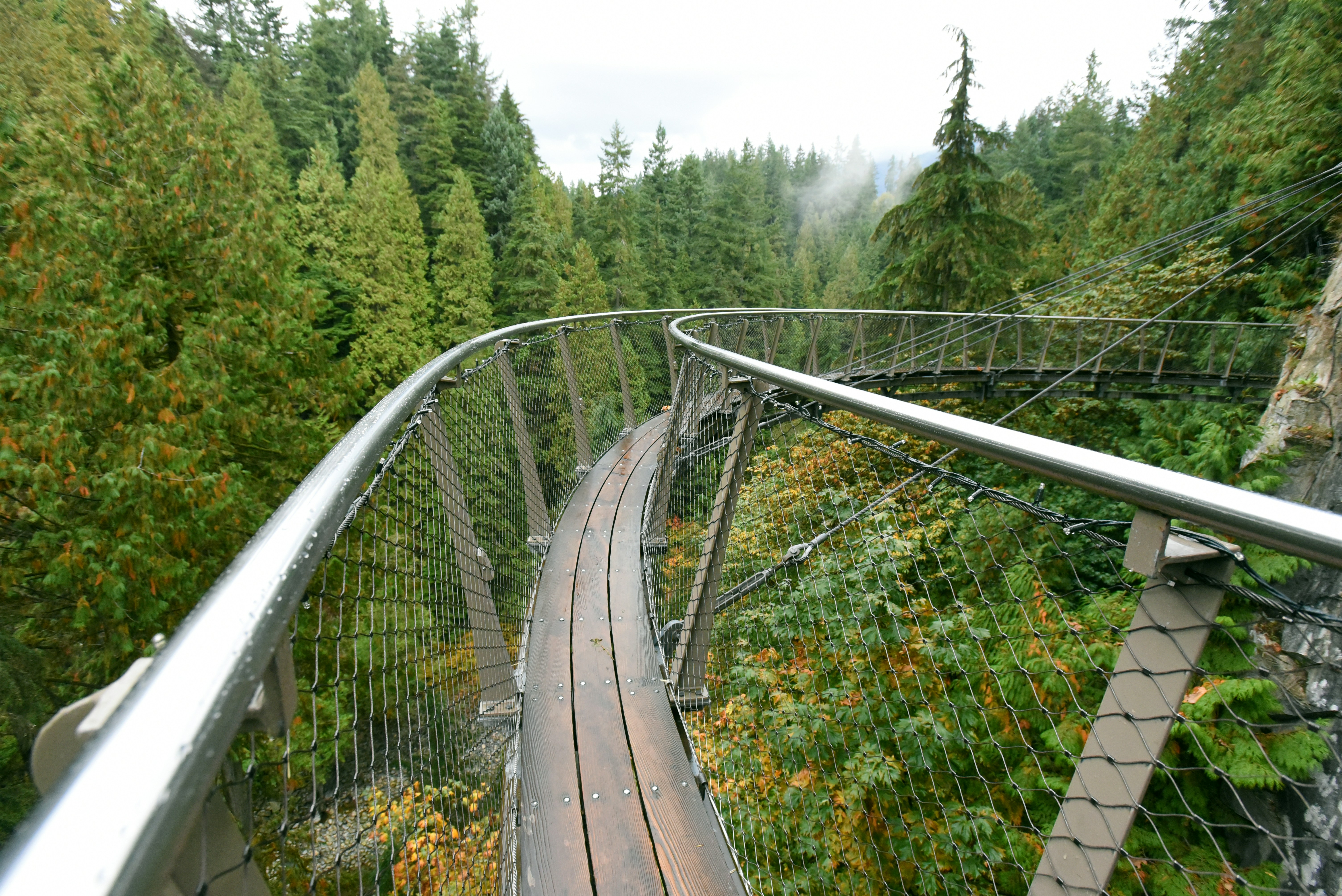 Photo by tommaomaoer