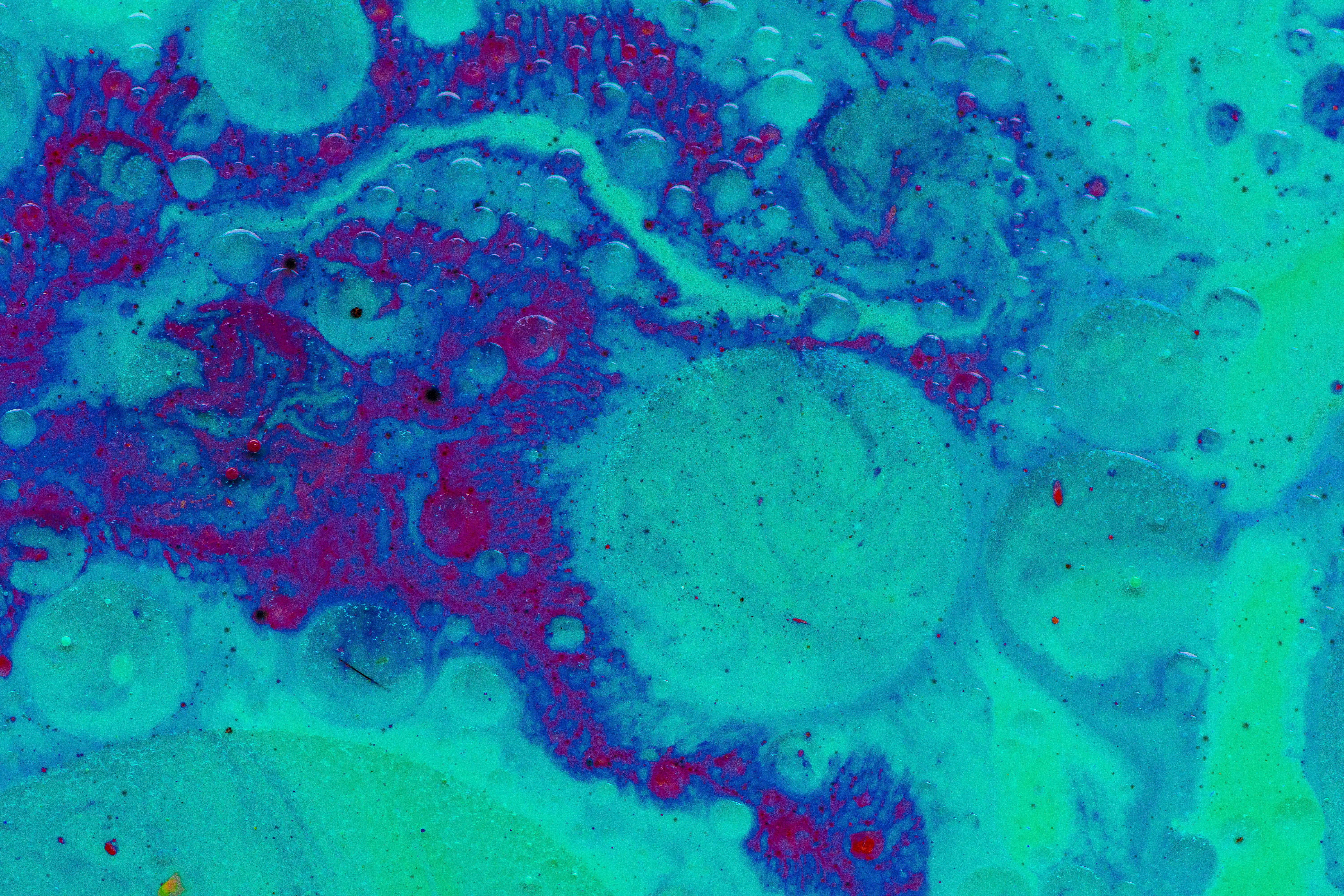 Photo by mohomed_asif