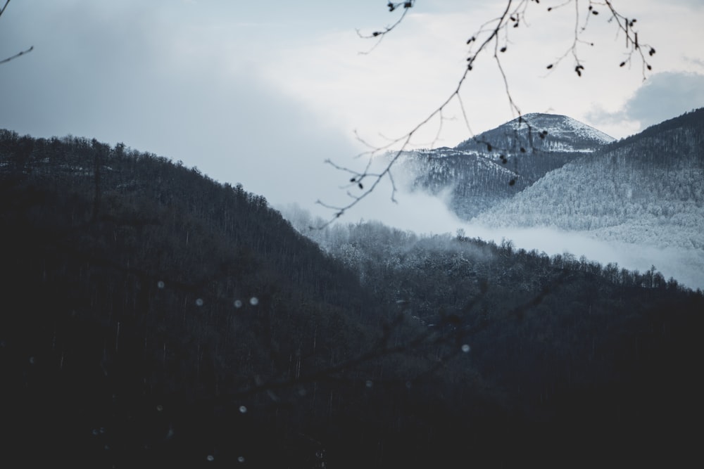 a mountain covered in snow with trees in the foreground