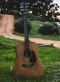 a guitar sitting in the grass in a park