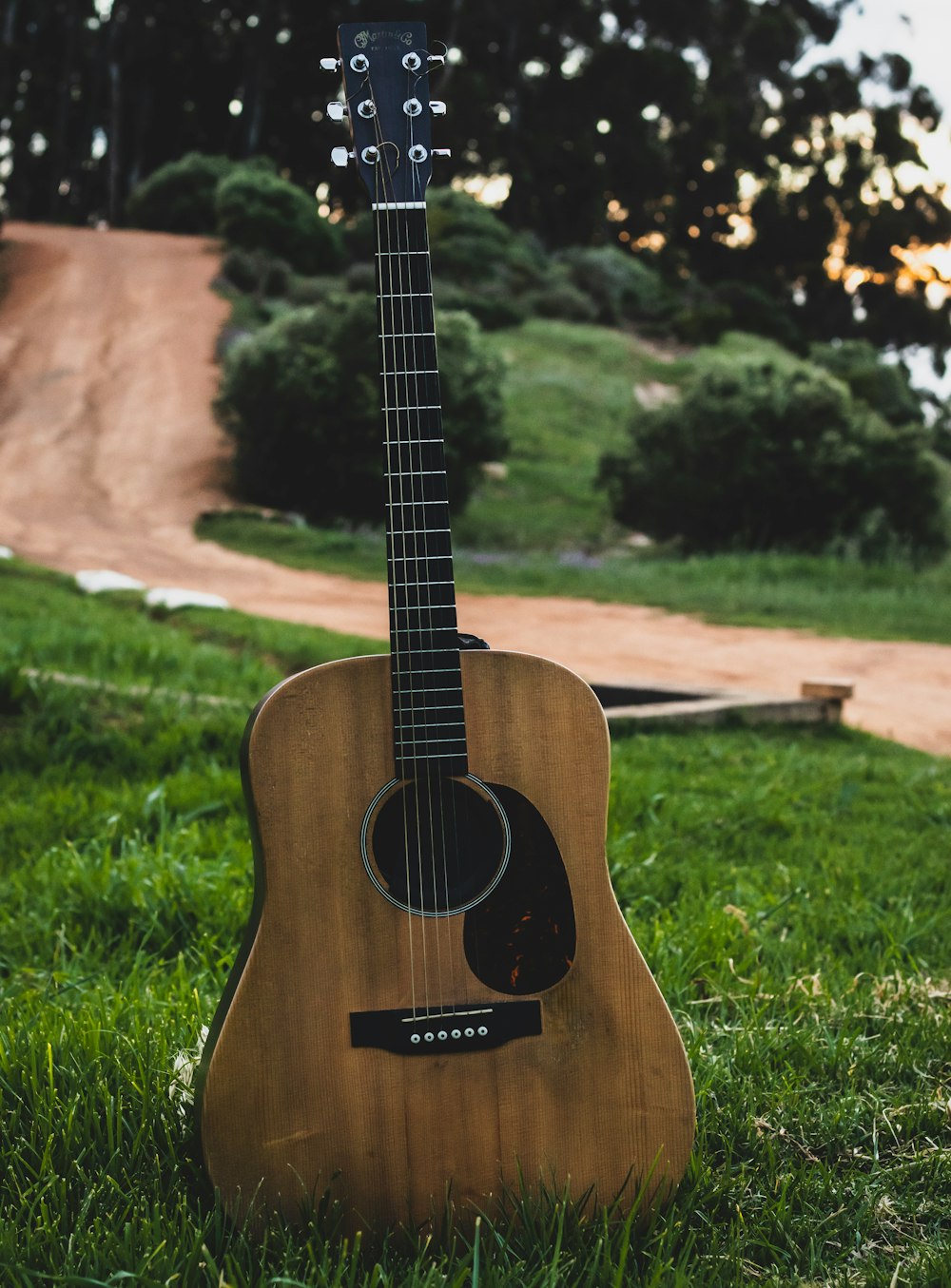 a guitar sitting in the grass in a park