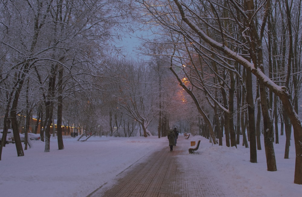 a person walking down a snow covered street