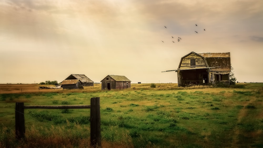 a house in the middle of a lush green field