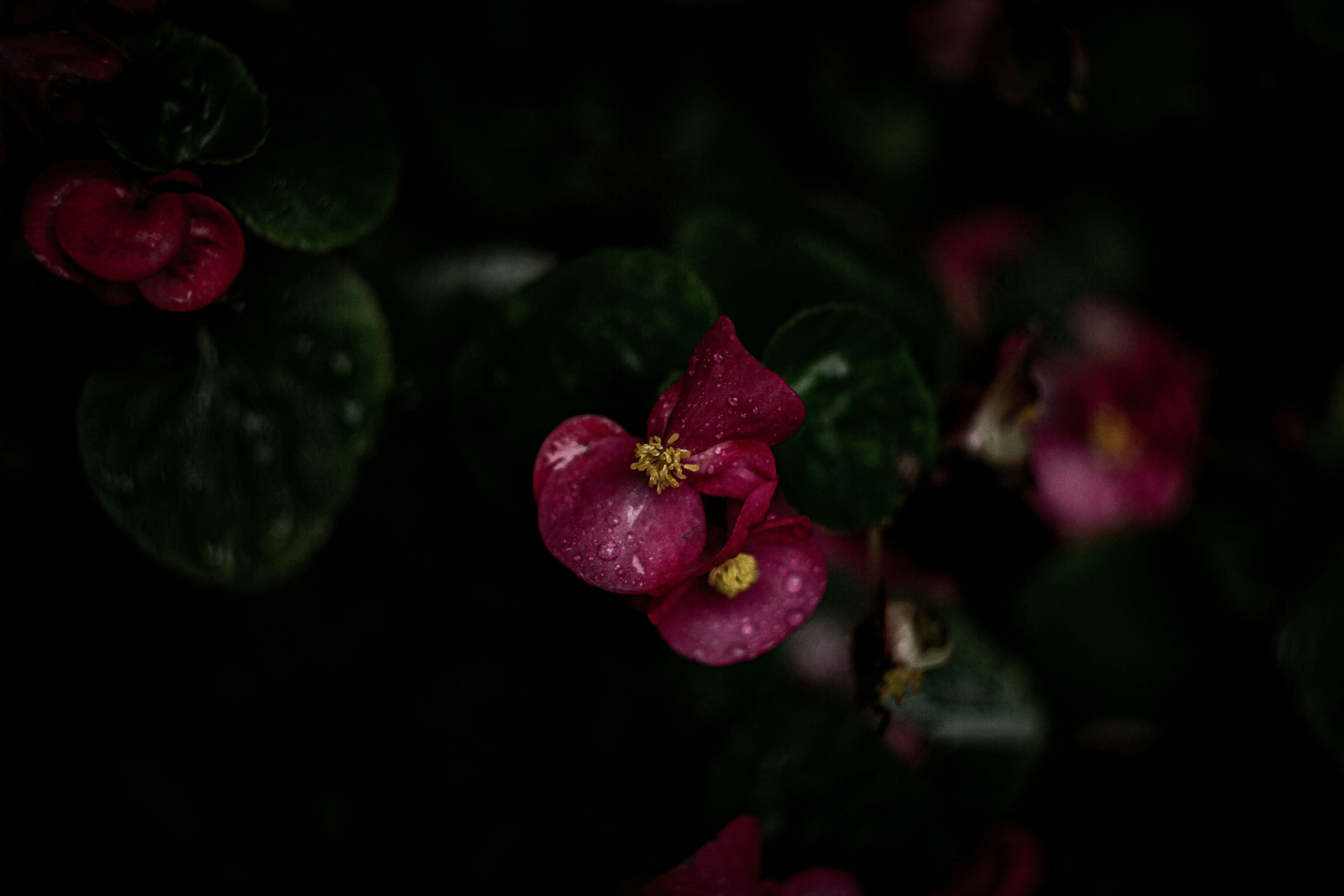 Photo by nocturnal_corvus