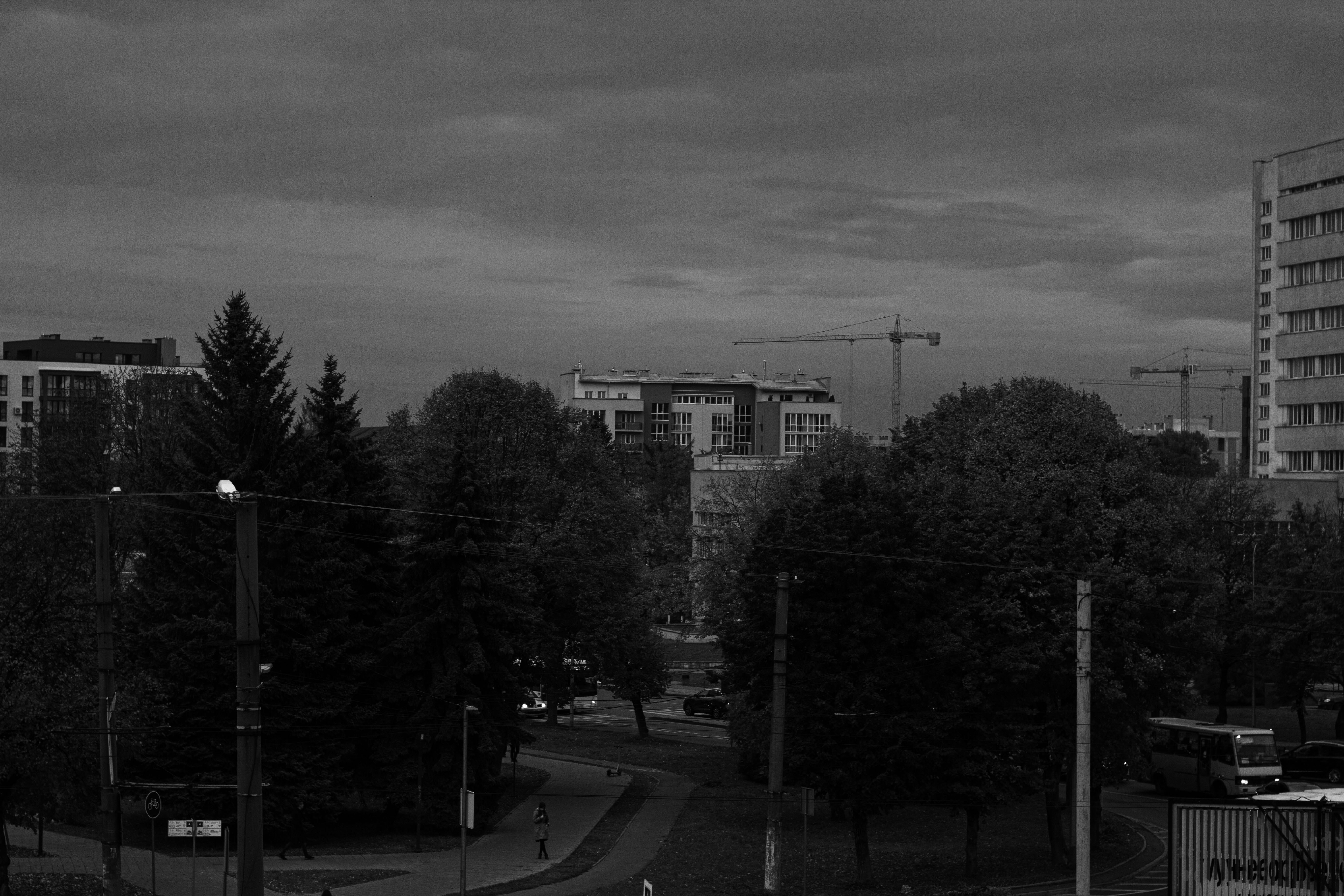 Image by Danylo Harmatiy via Unsplash