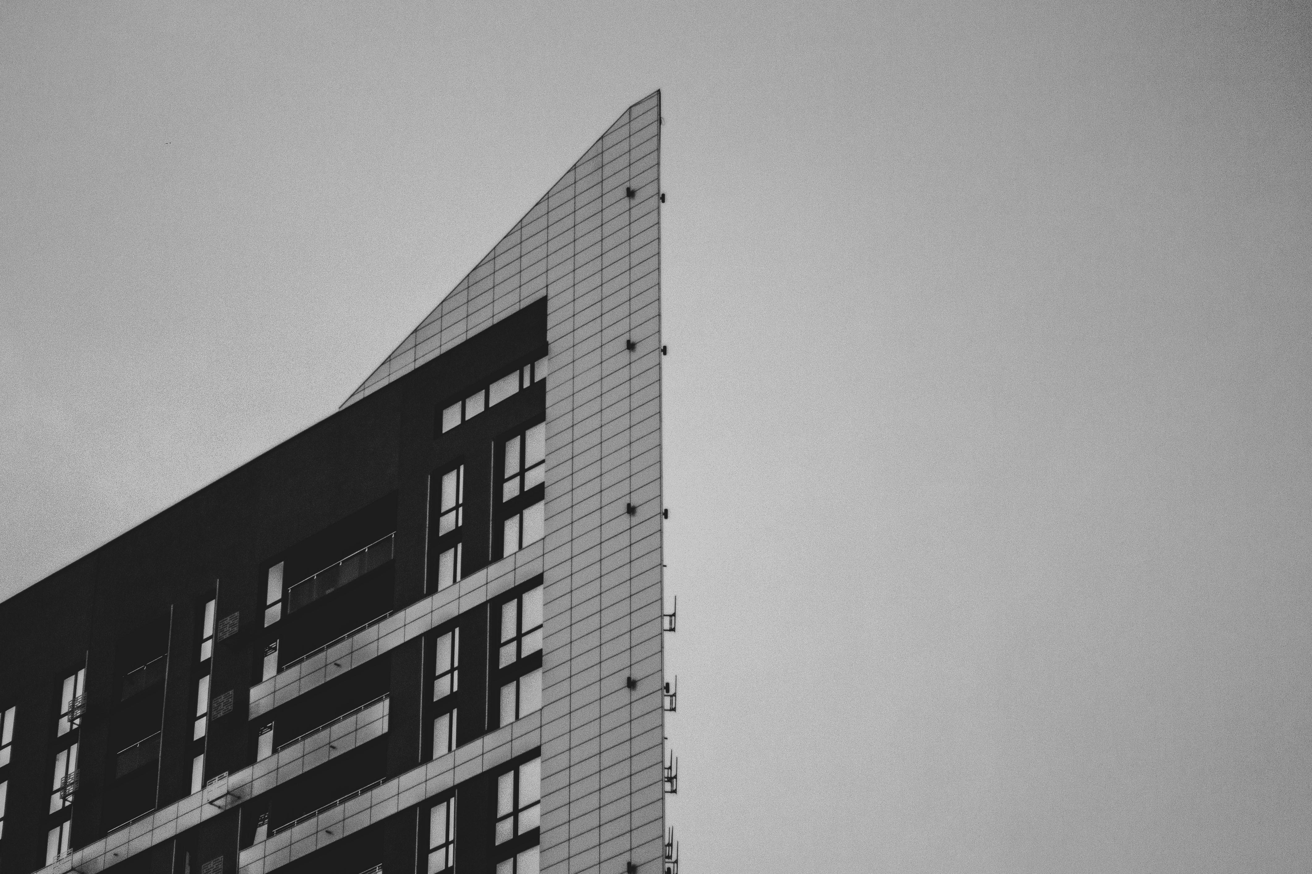 Photo by nocturnal_corvus