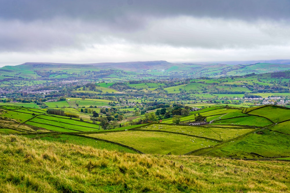 a lush green hillside with rolling hills in the distance