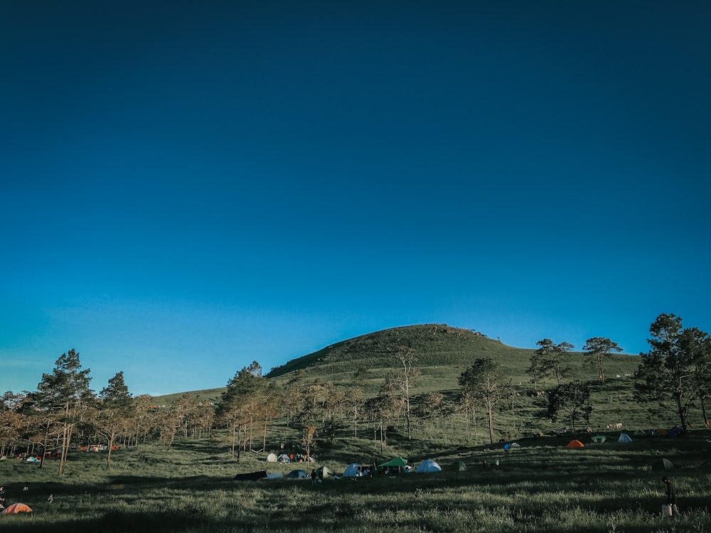 a grassy field with a mountain in the background