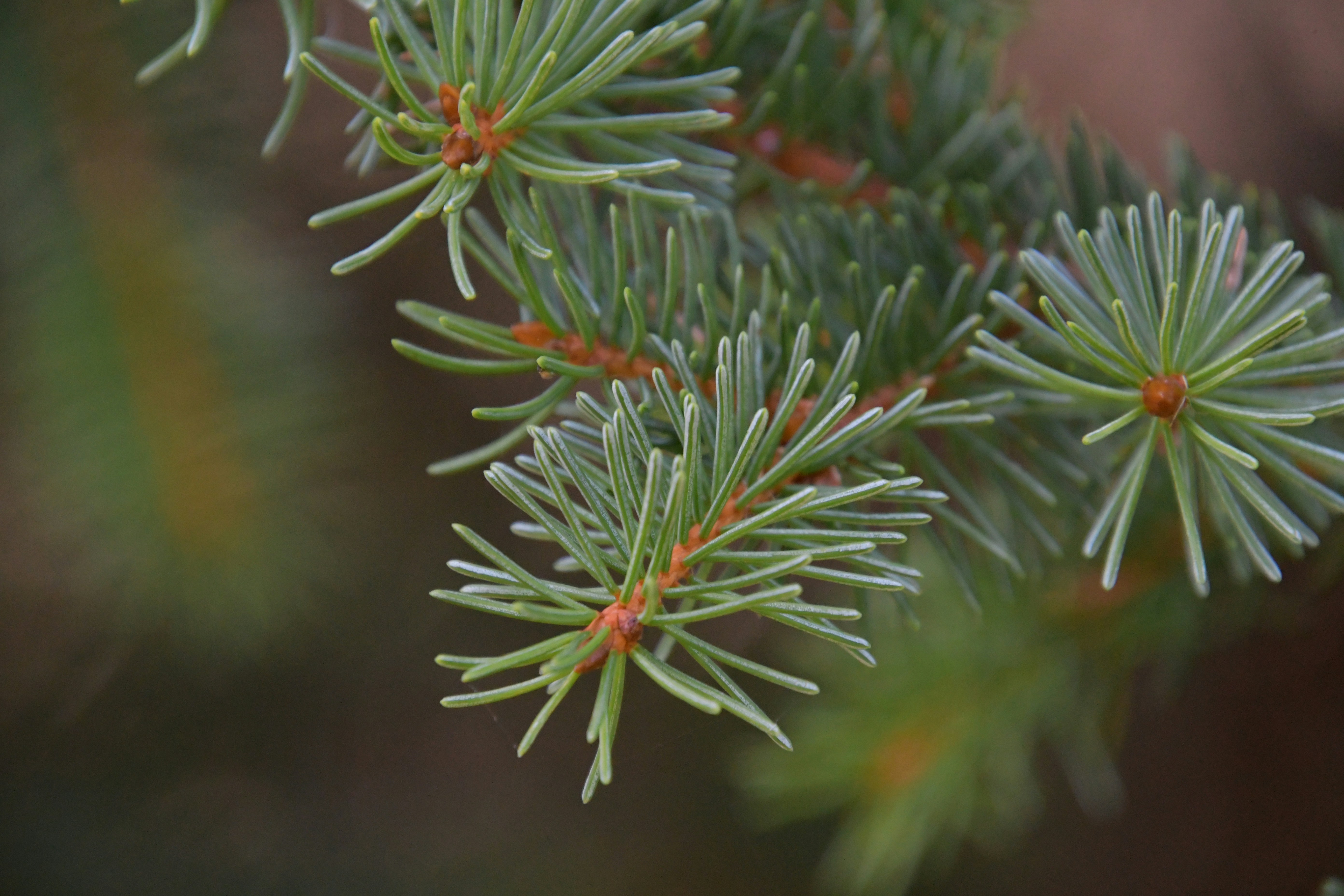 Photo by jessica_rigollot