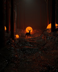 a deer standing in the middle of a forest at night