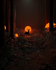 a deer standing in the middle of a forest at night