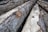 Several large logs stacked with visible bark and partially exposed wood, showing signs of logging with rough surfaces and natural textures.