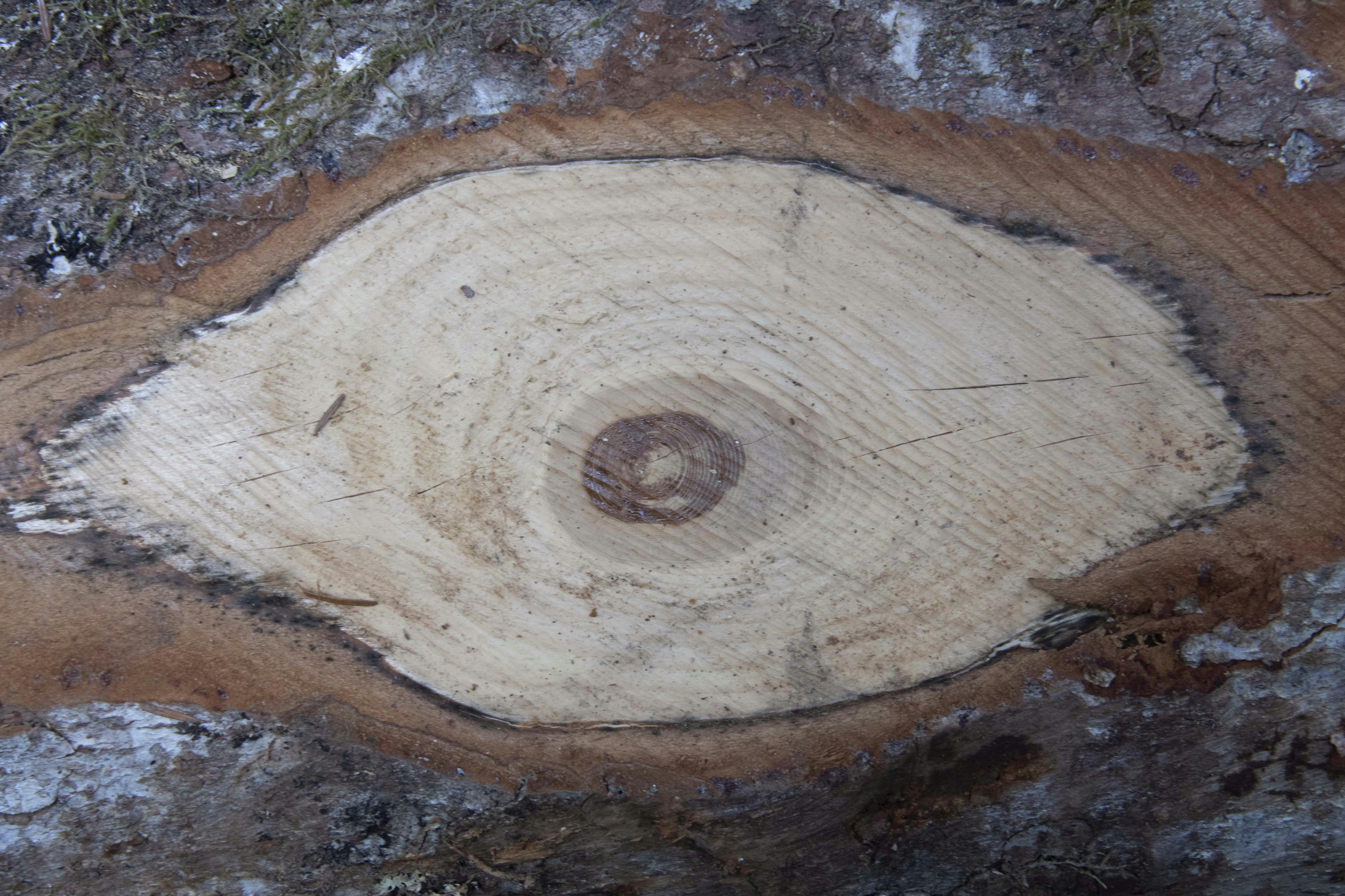 Photo by jessica_rigollot