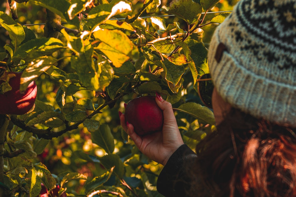 a woman picking an apple from a tree