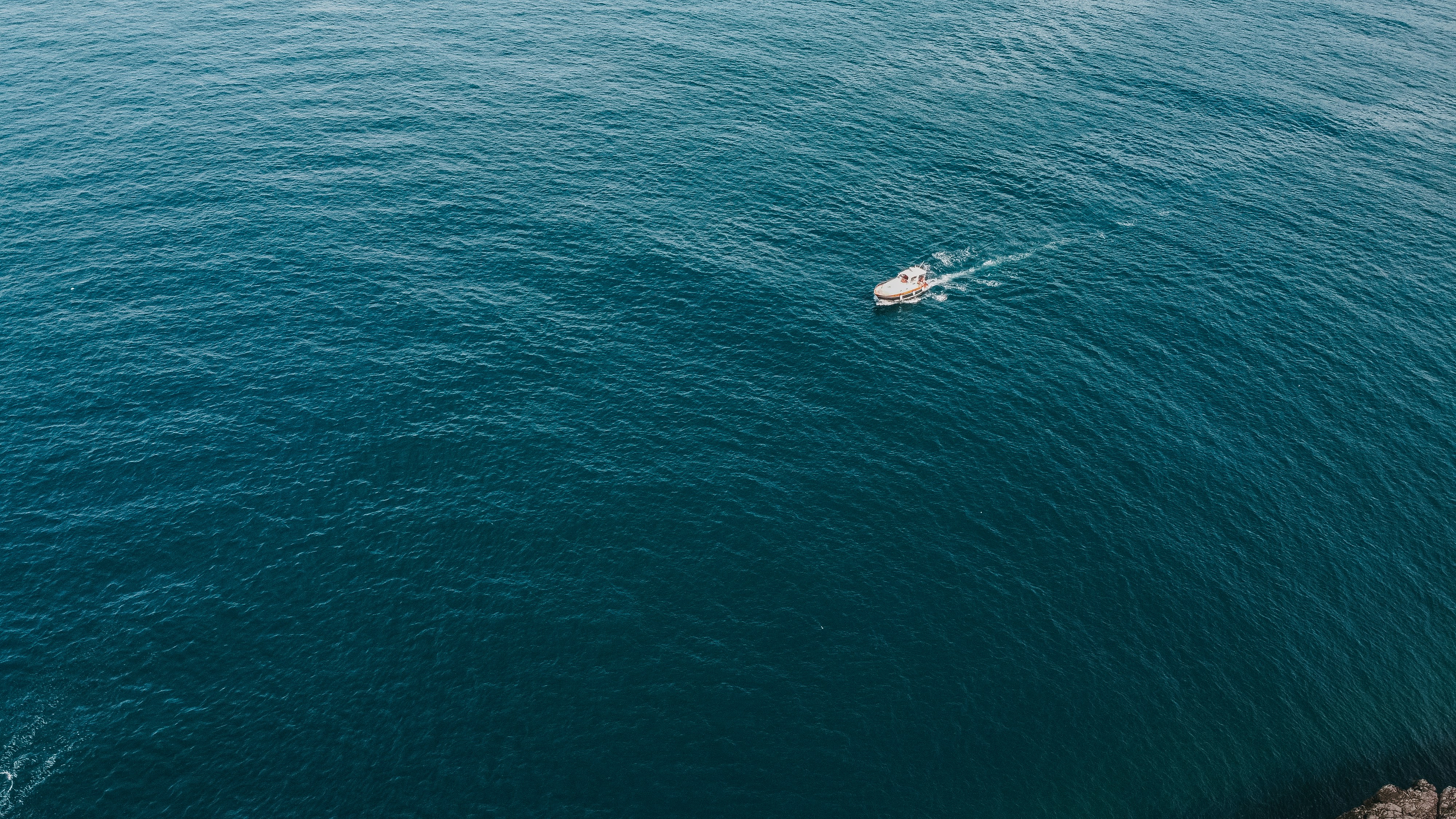 Photo by deni_eliash