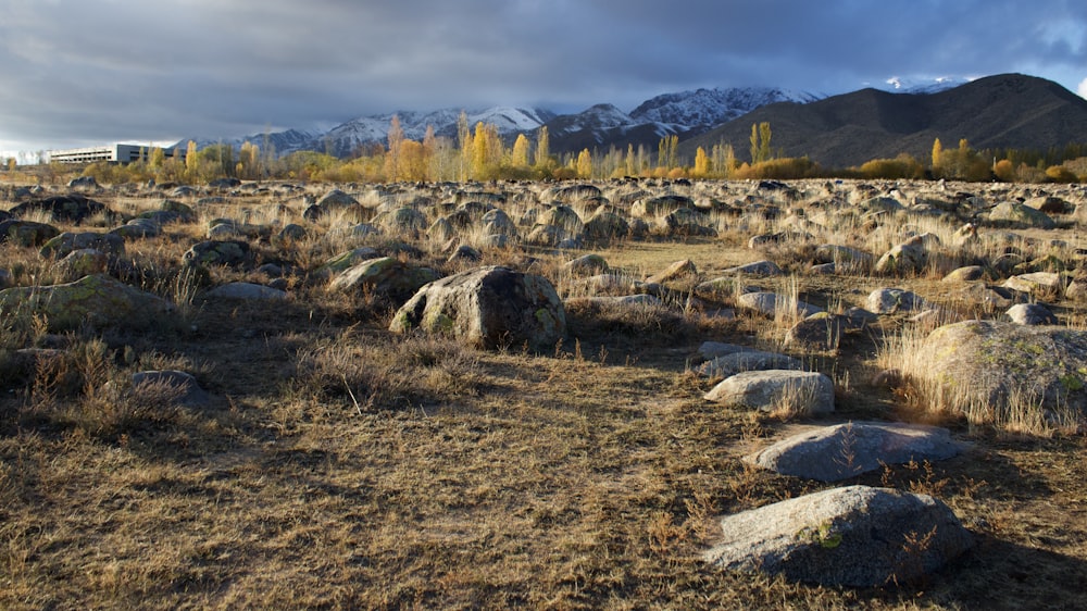 a field of rocks and grass with mountains in the background