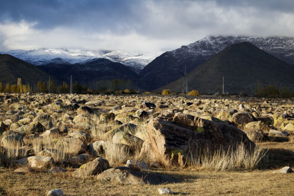 a field of rocks with mountains in the background
