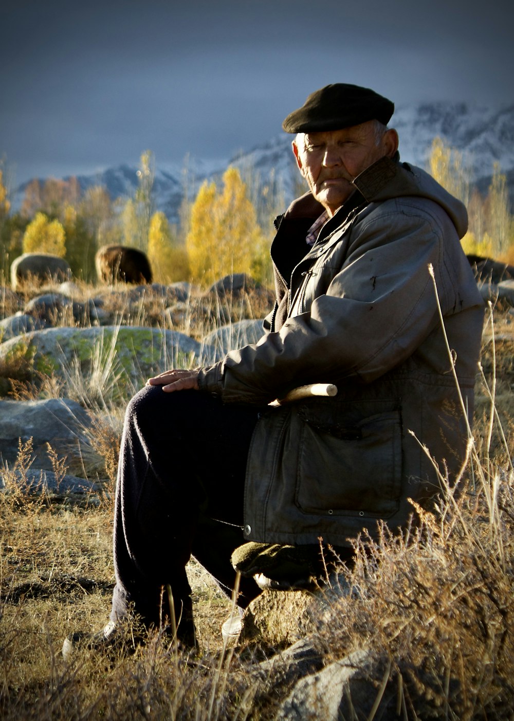 a man sitting on a rock in a field